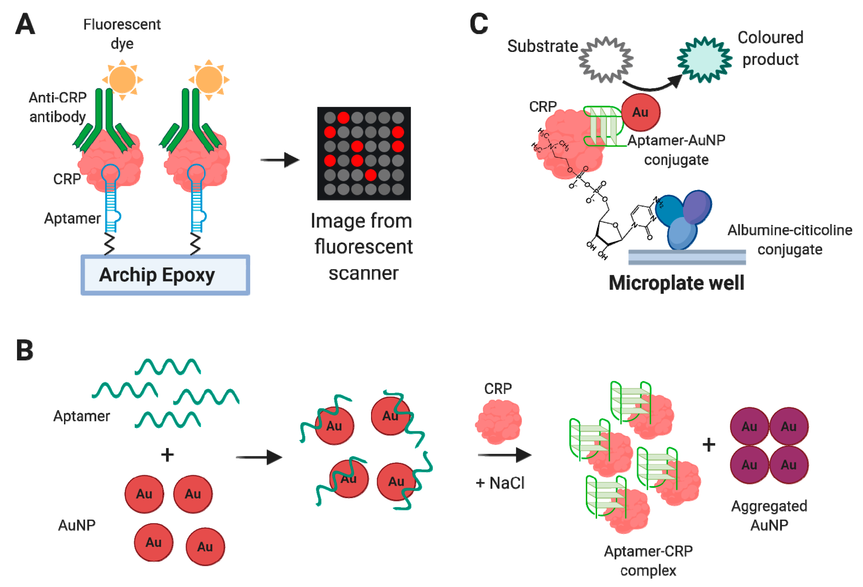 Biomedicines 08 00527 g005