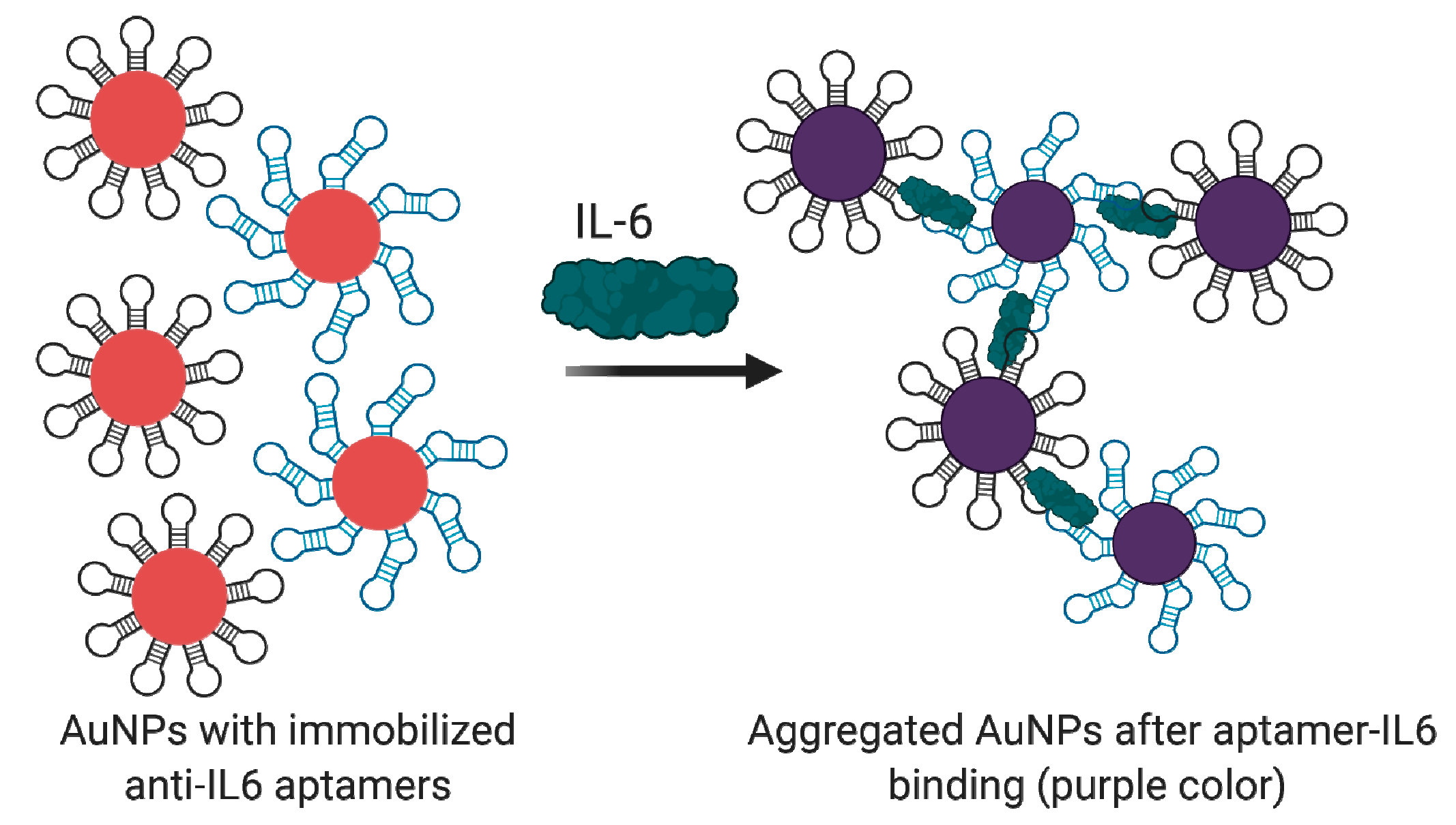 Biomedicines 08 00527 g008