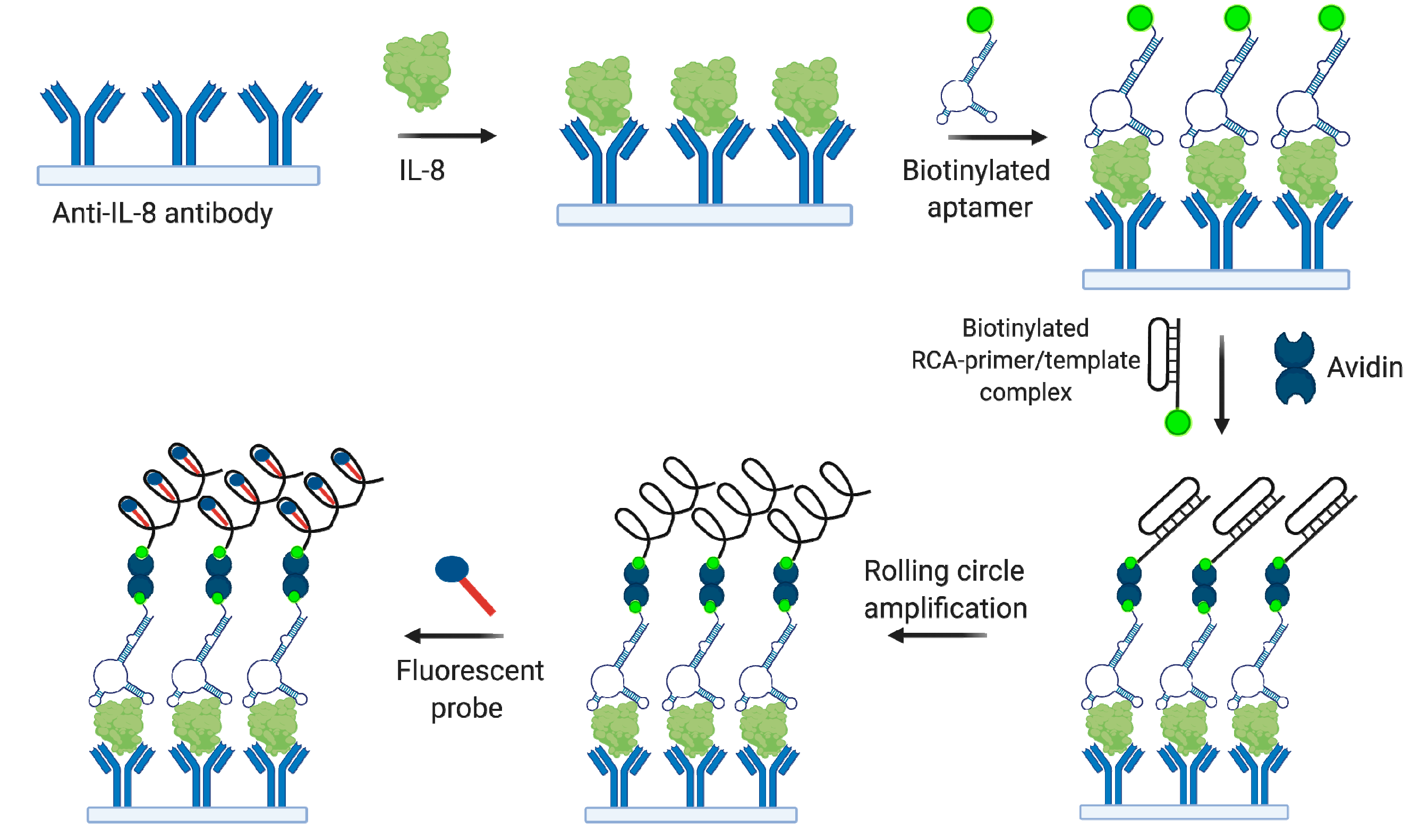 Biomedicines 08 00527 g009