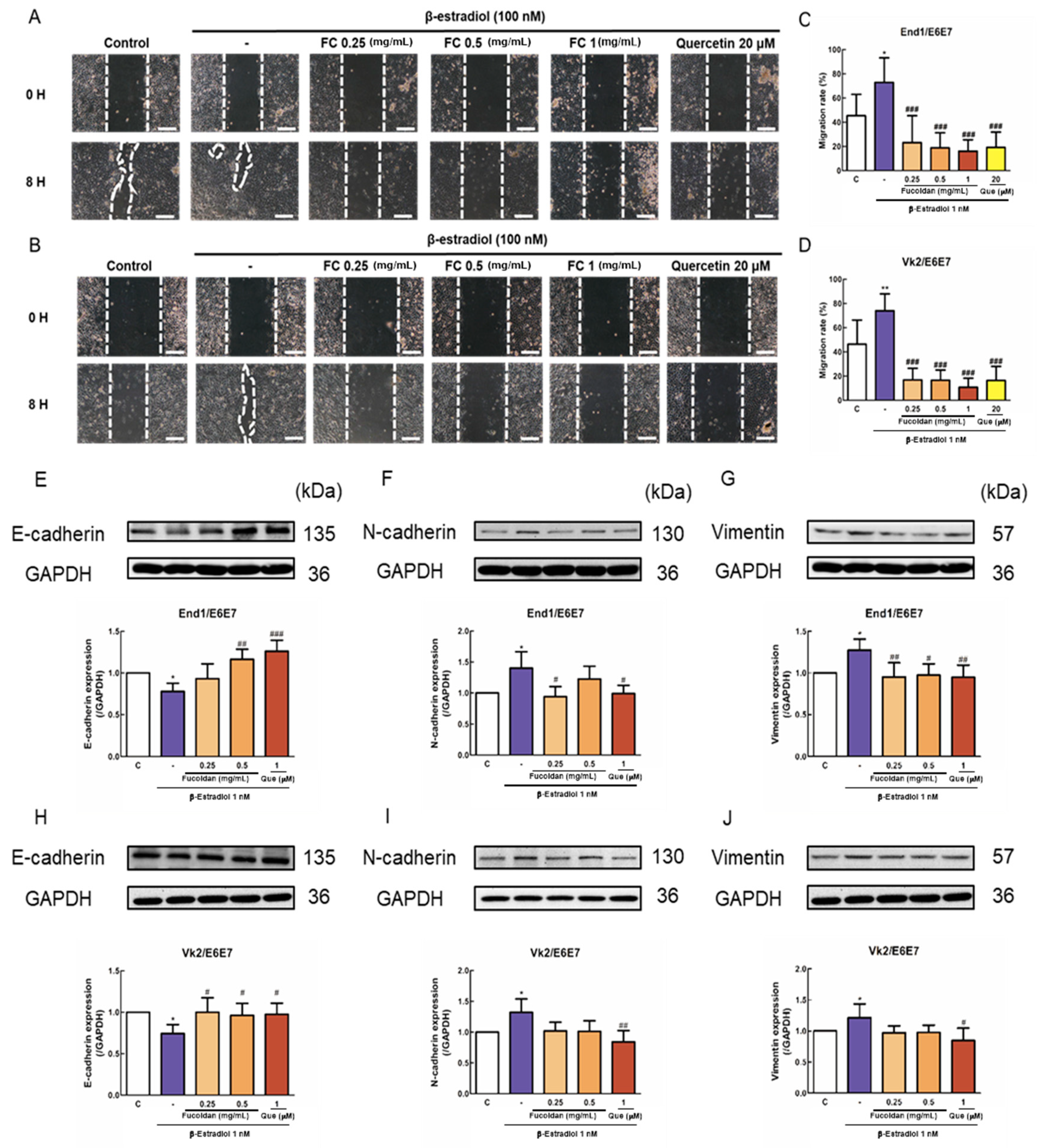 Biomedicines 08 00528 g002 Biomedicines 08 00528 g002