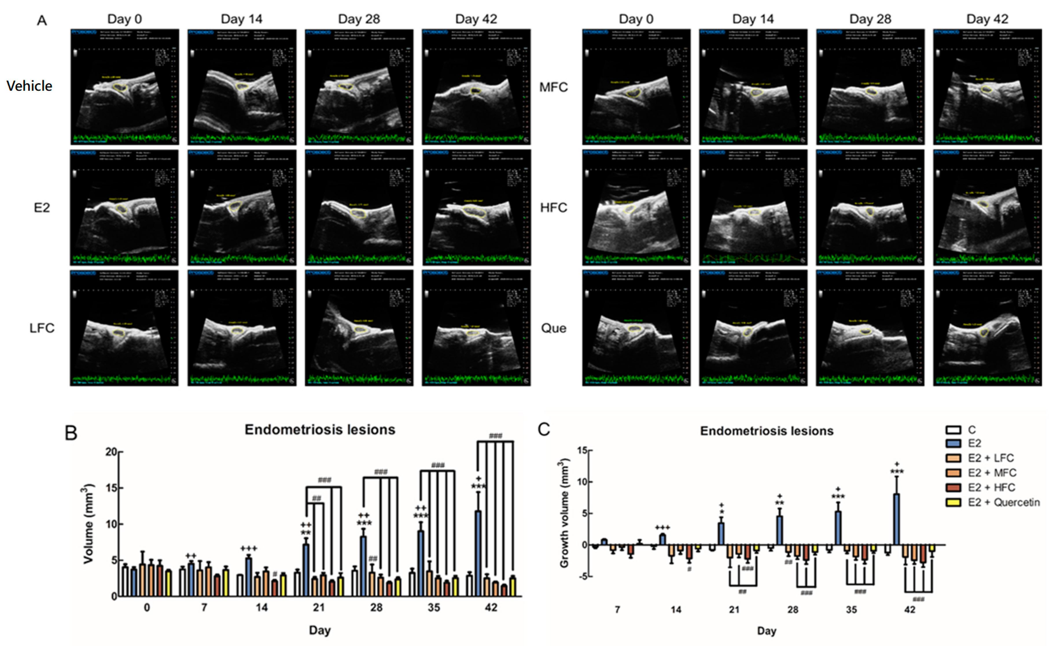 Biomedicines 08 00528 g003 Biomedicines 08 00528 g003