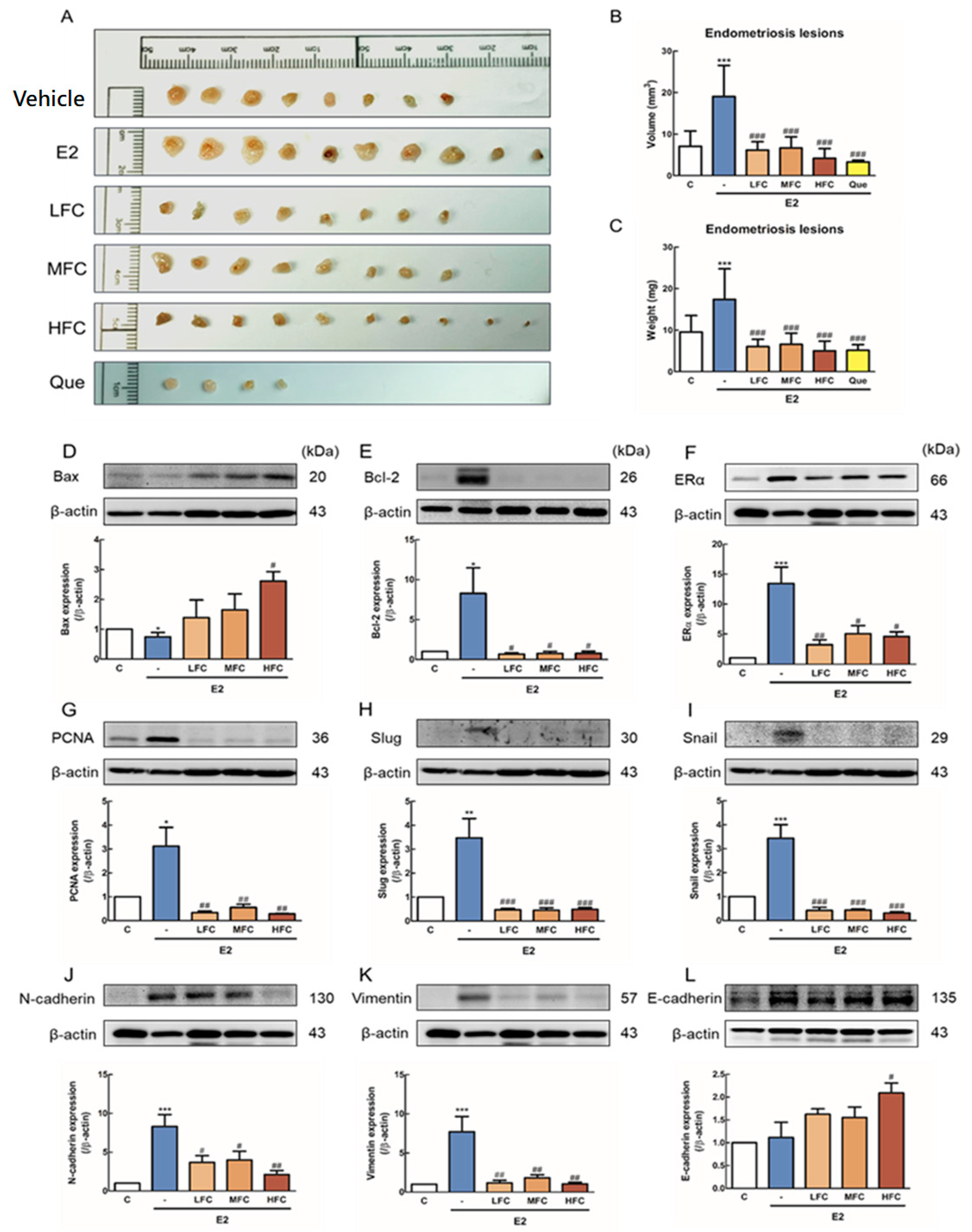 Biomedicines 08 00528 g004 Biomedicines 08 00528 g004