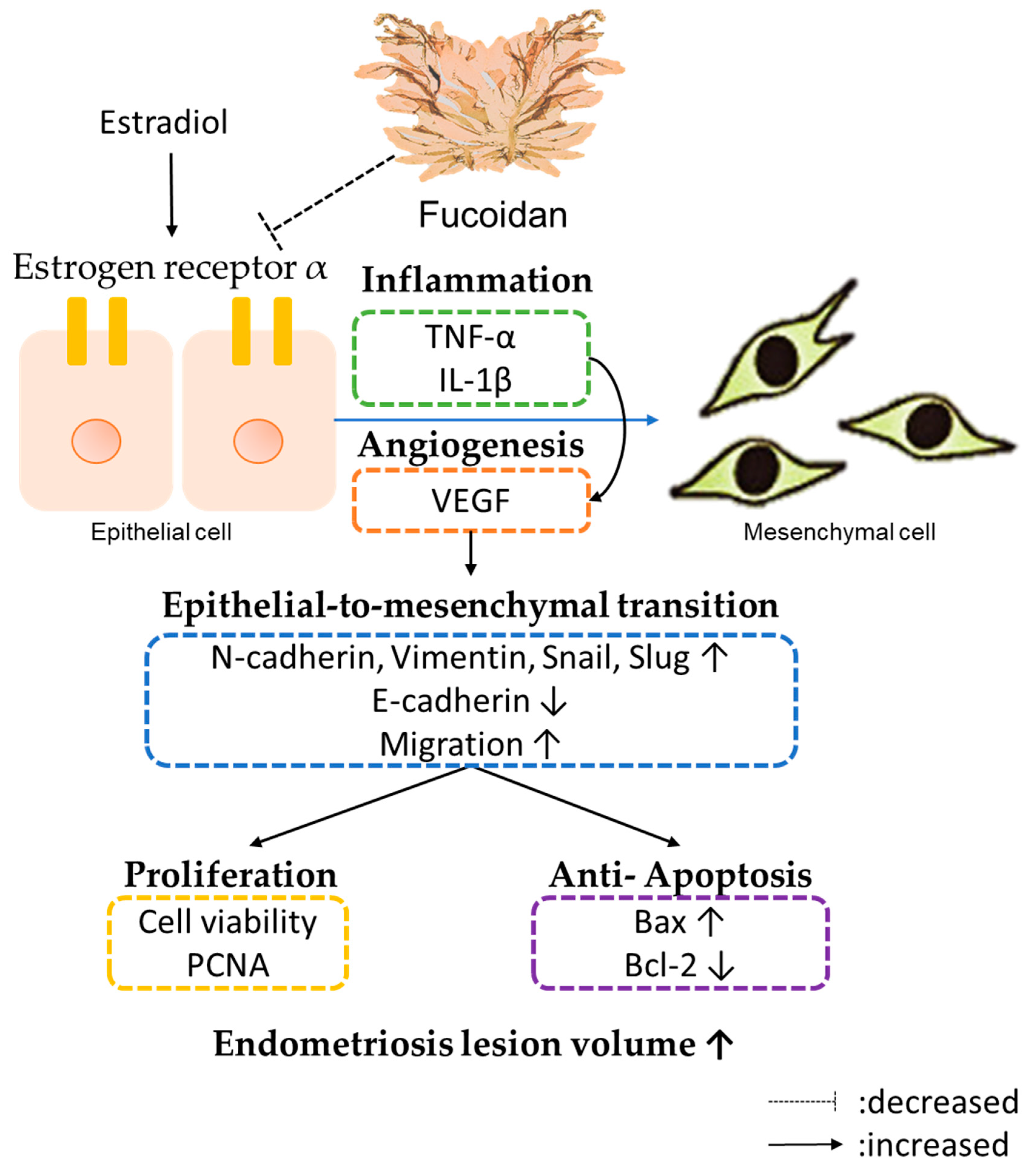 Biomedicines 08 00528 g006 Biomedicines 08 00528 g006