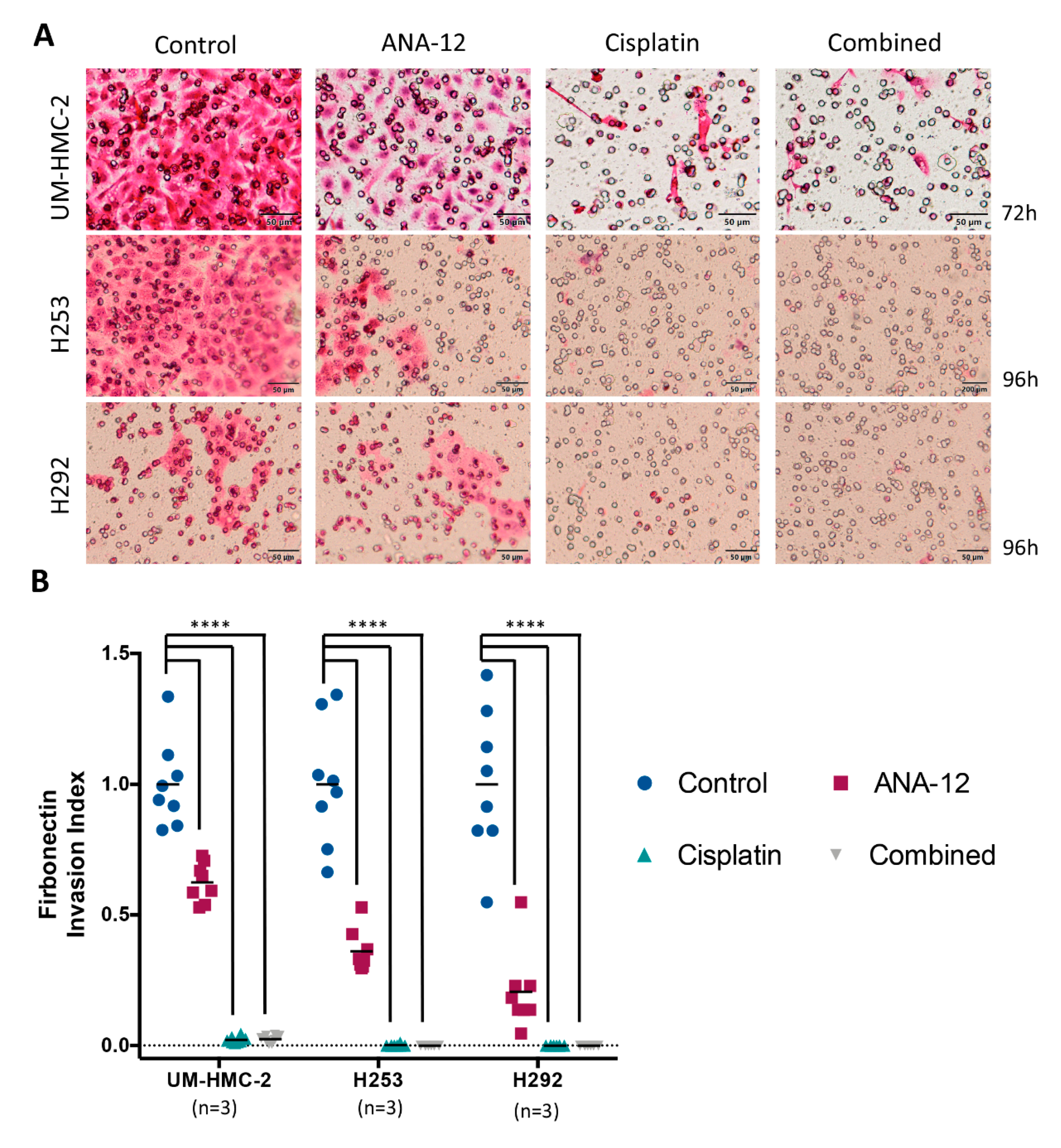 Biomedicines 08 00531 g004 Biomedicines 08 00531 g004
