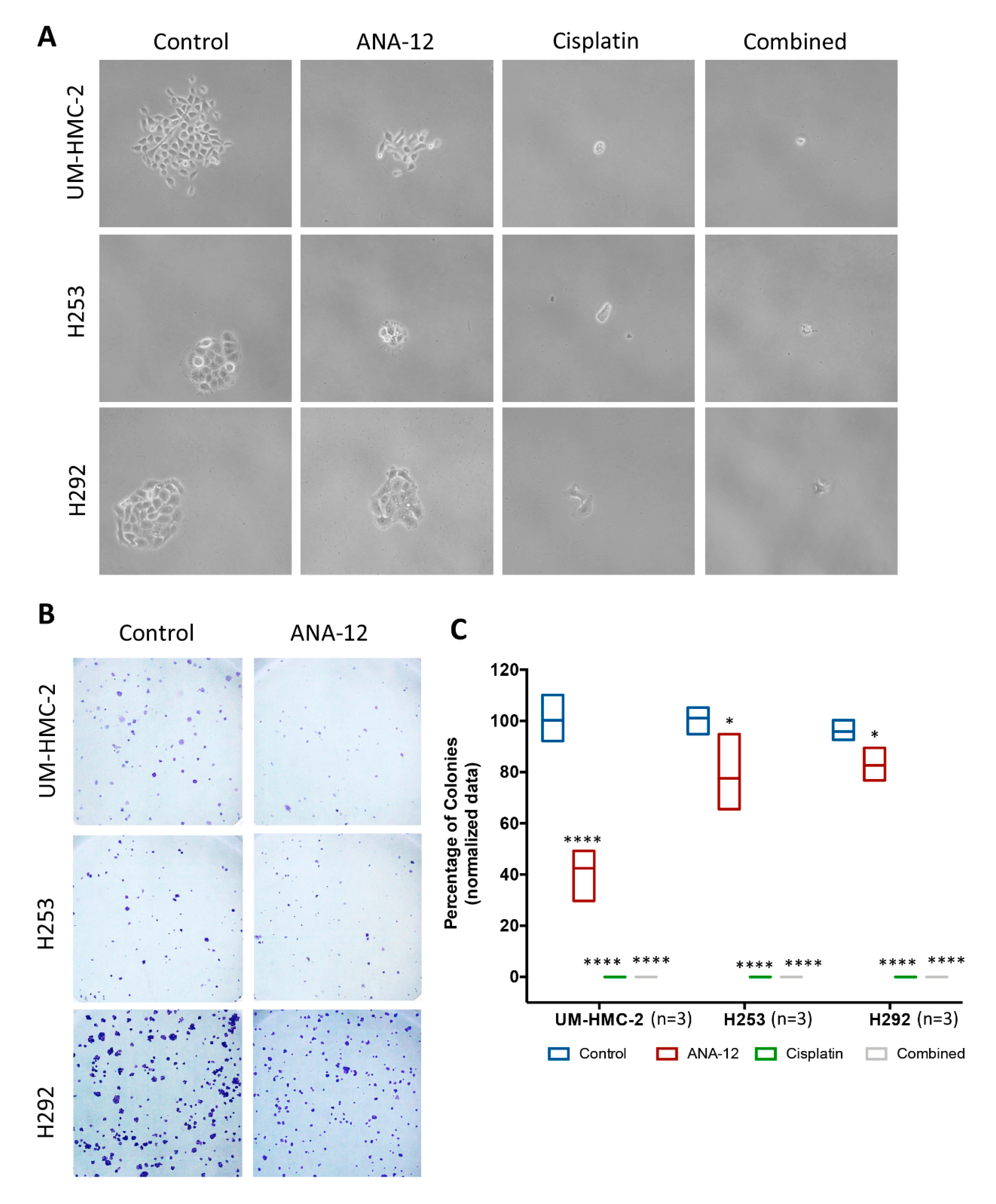 Biomedicines 08 00531 g005 Biomedicines 08 00531 g005