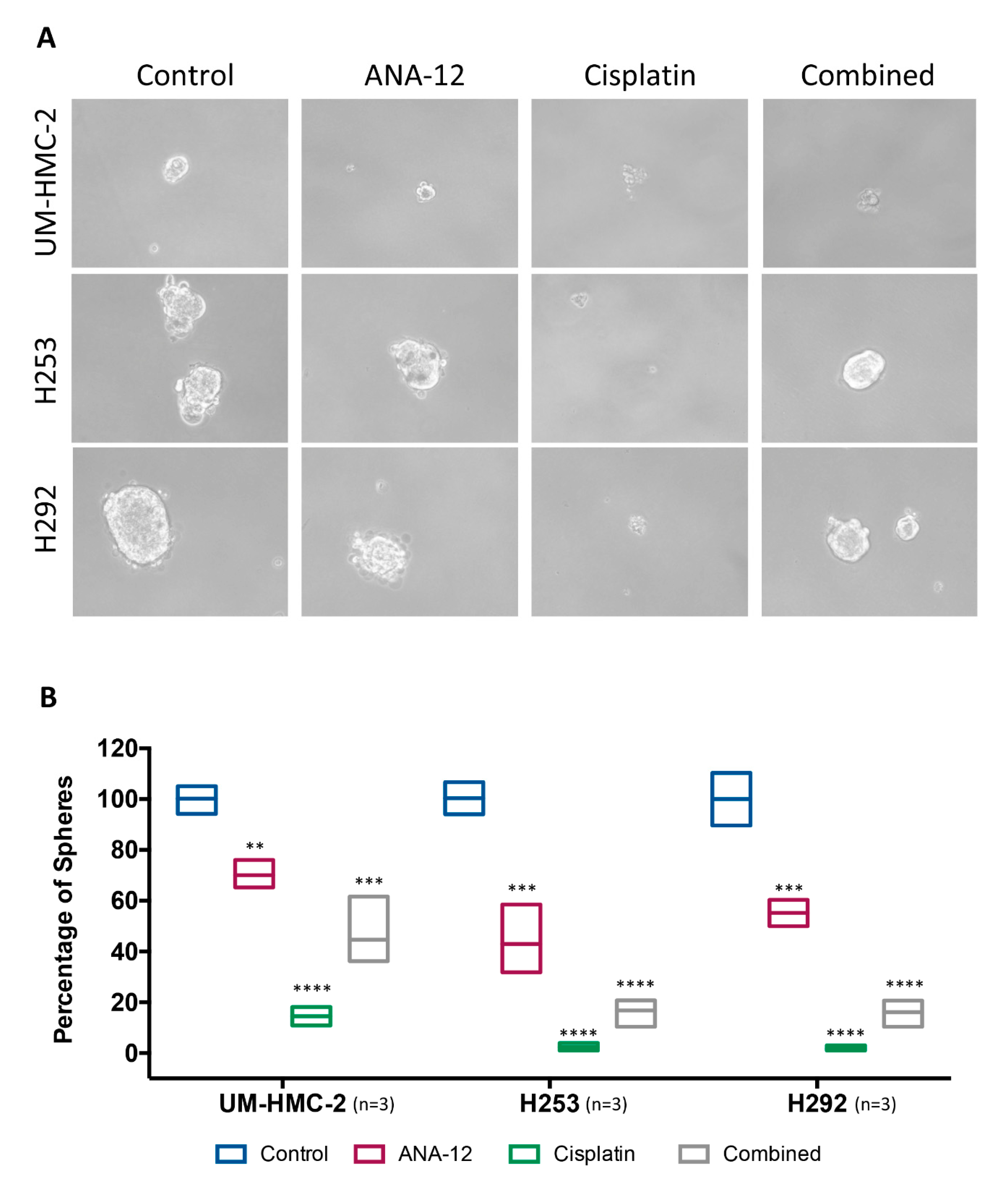 Biomedicines 08 00531 g006 Biomedicines 08 00531 g006
