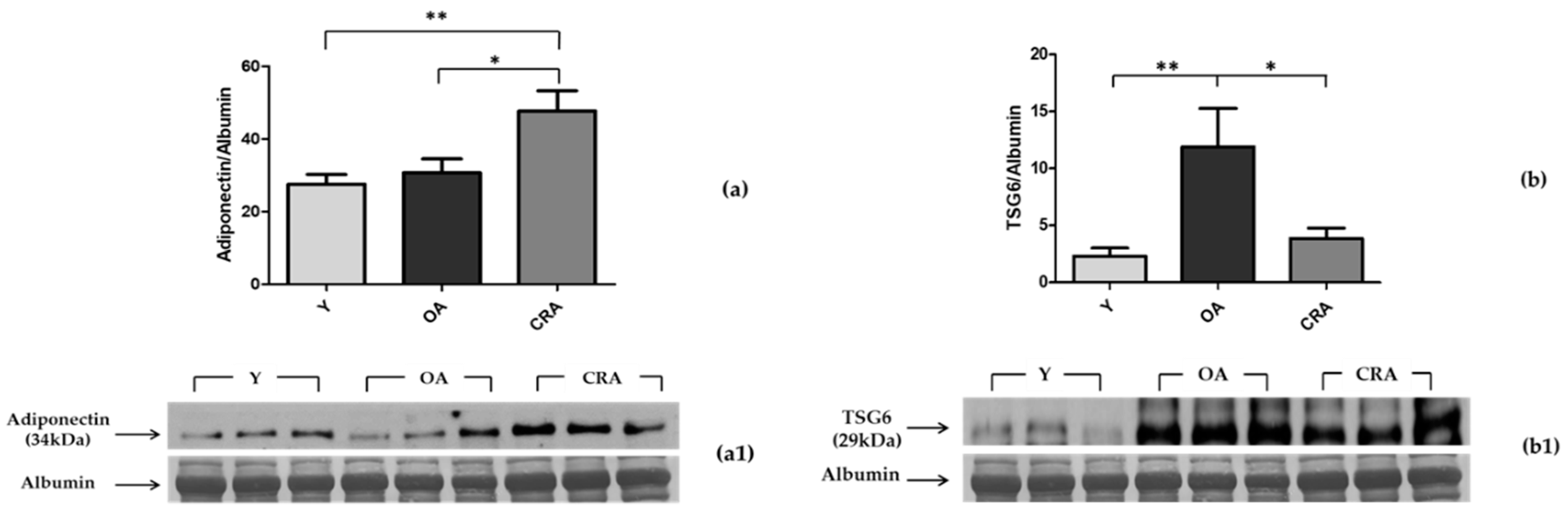 Biomedicines 08 00532 g002 Biomedicines 08 00532 g002