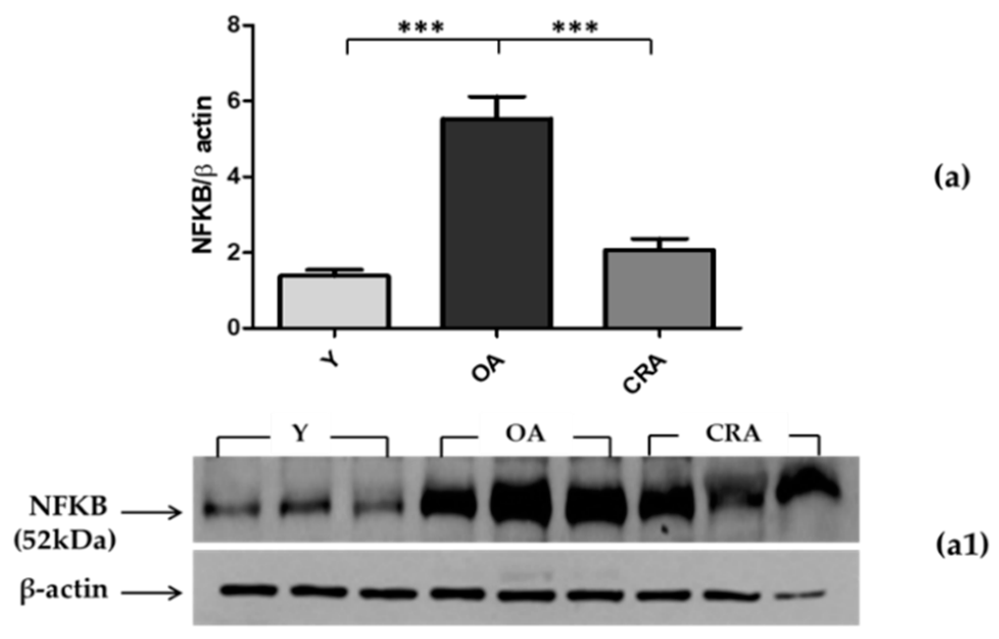 Biomedicines 08 00532 g004 Biomedicines 08 00532 g004