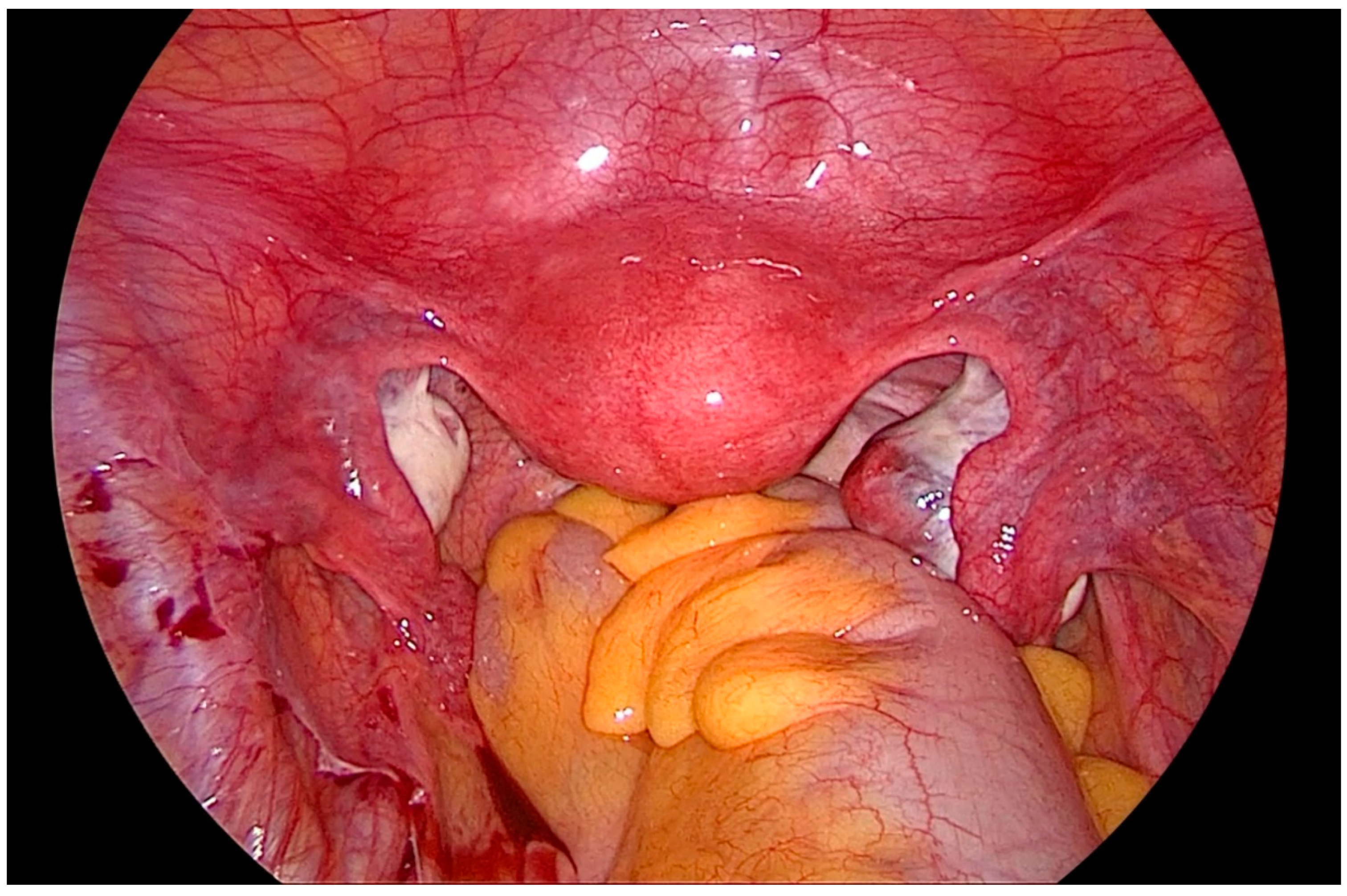 Biomedicines 08 00533 g001