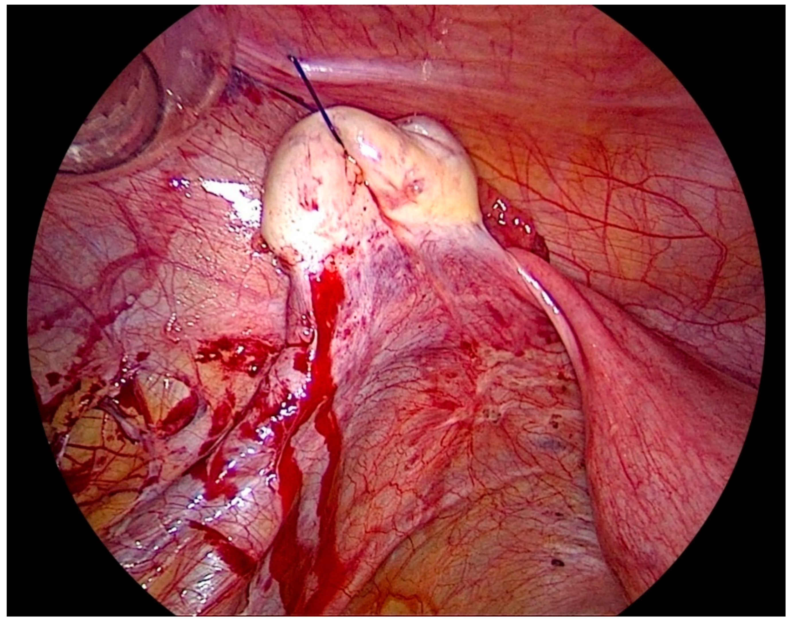 Biomedicines 08 00533 g002