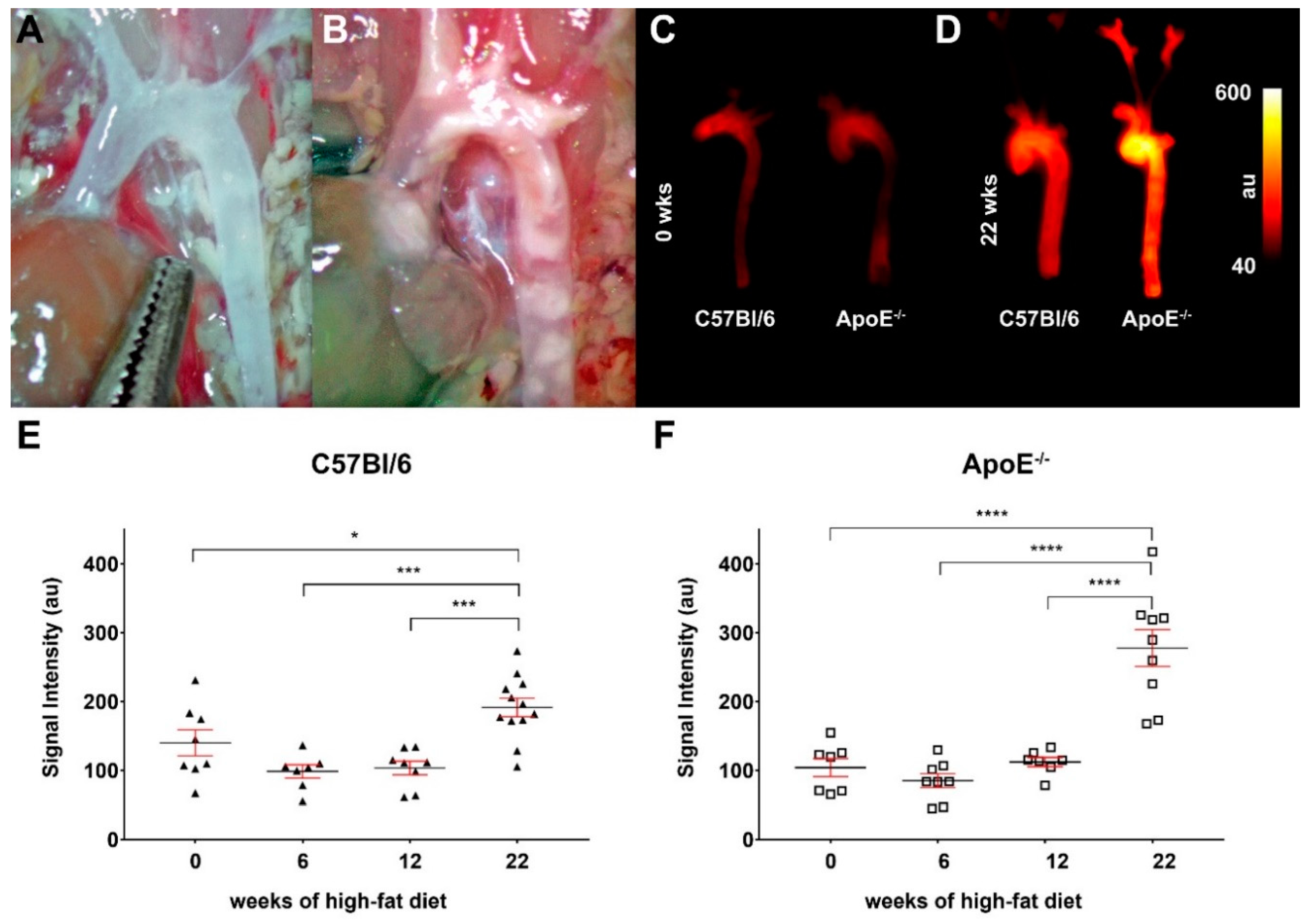 Biomedicines 08 00538 g002 Biomedicines 08 00538 g002
