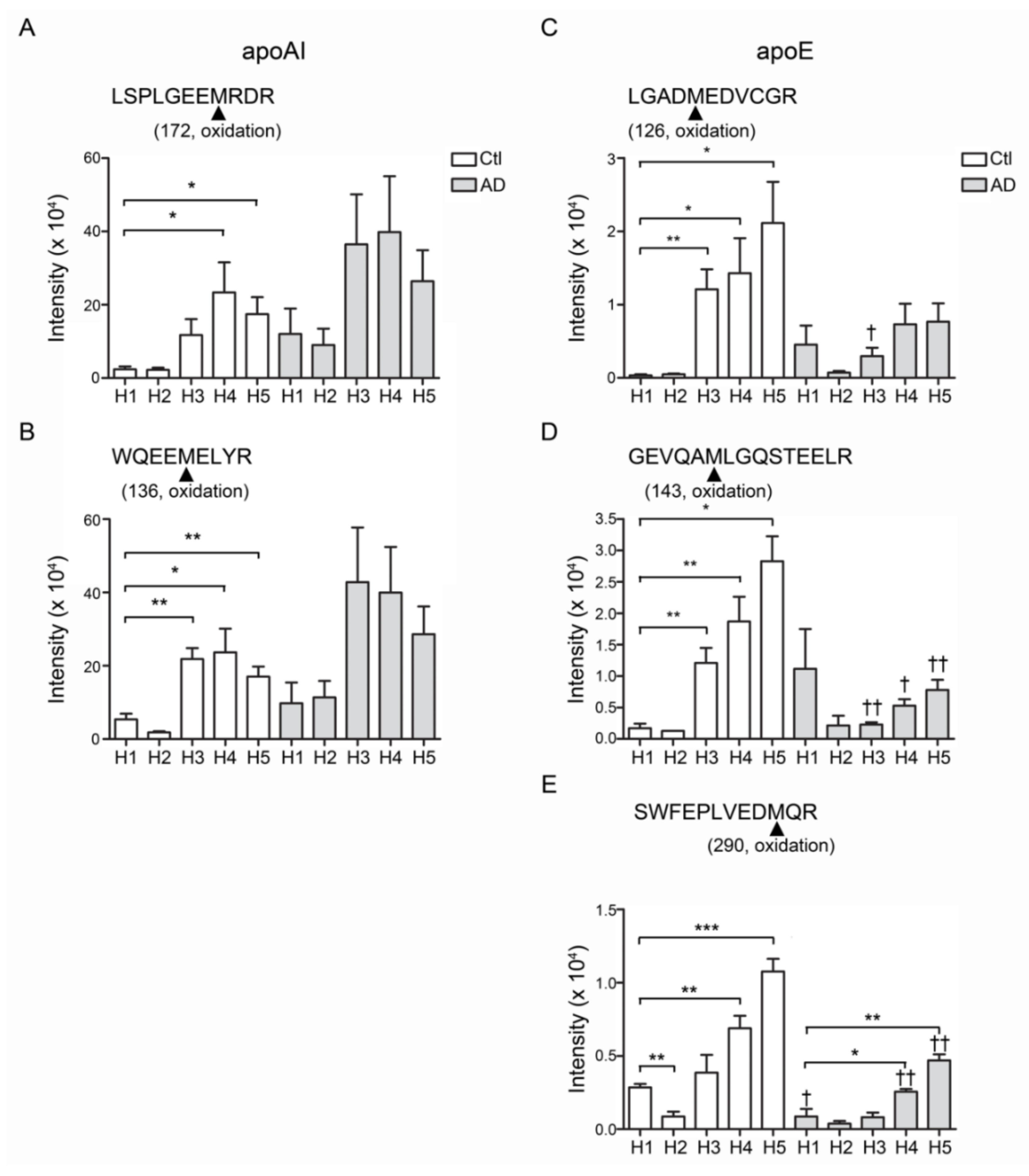 Biomedicines 08 00542 g004