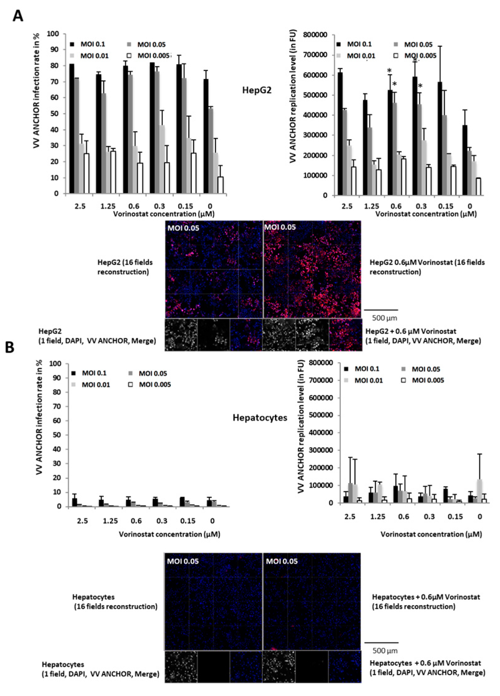 Biomedicines 08 00543 g005