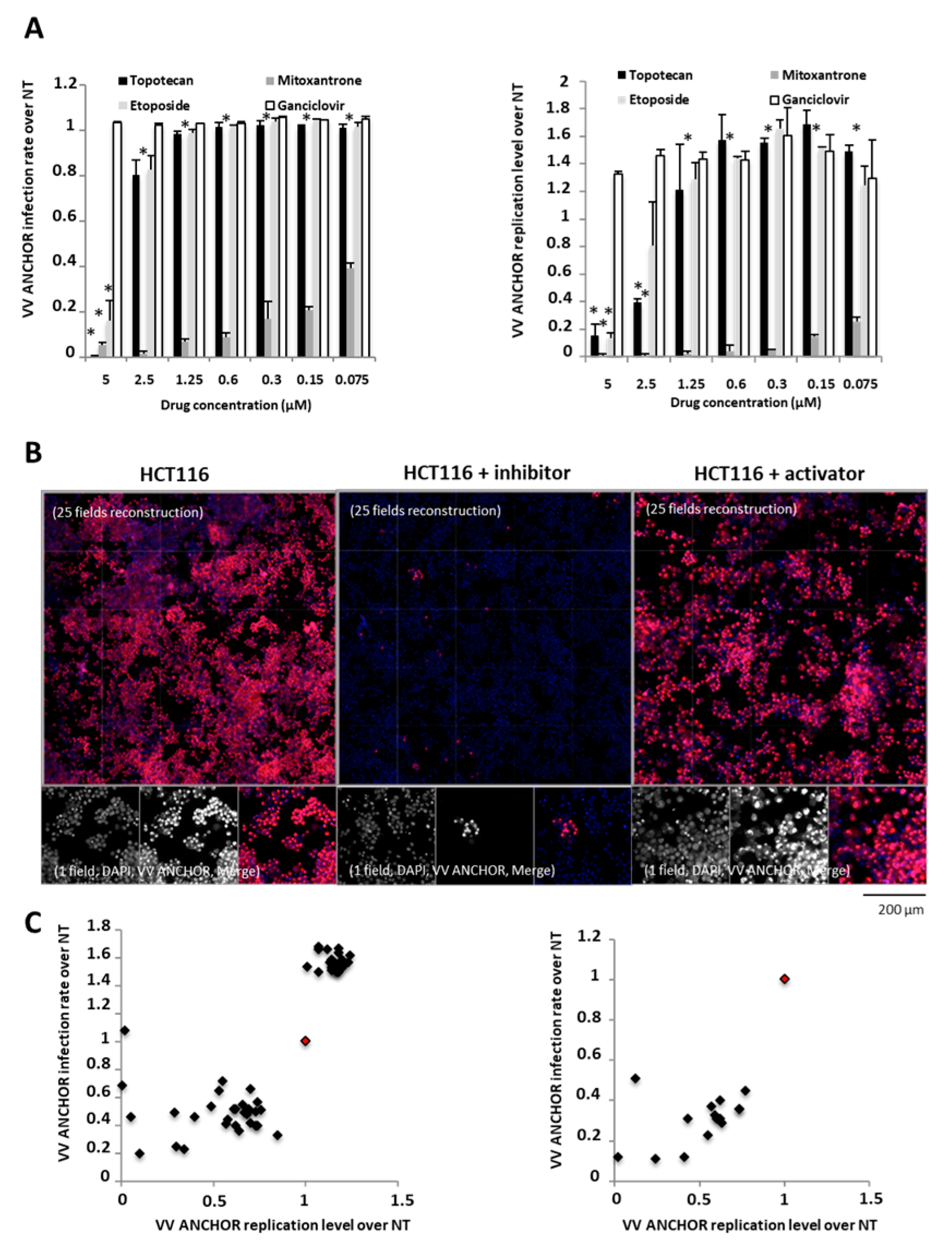 Biomedicines 08 00543 g006
