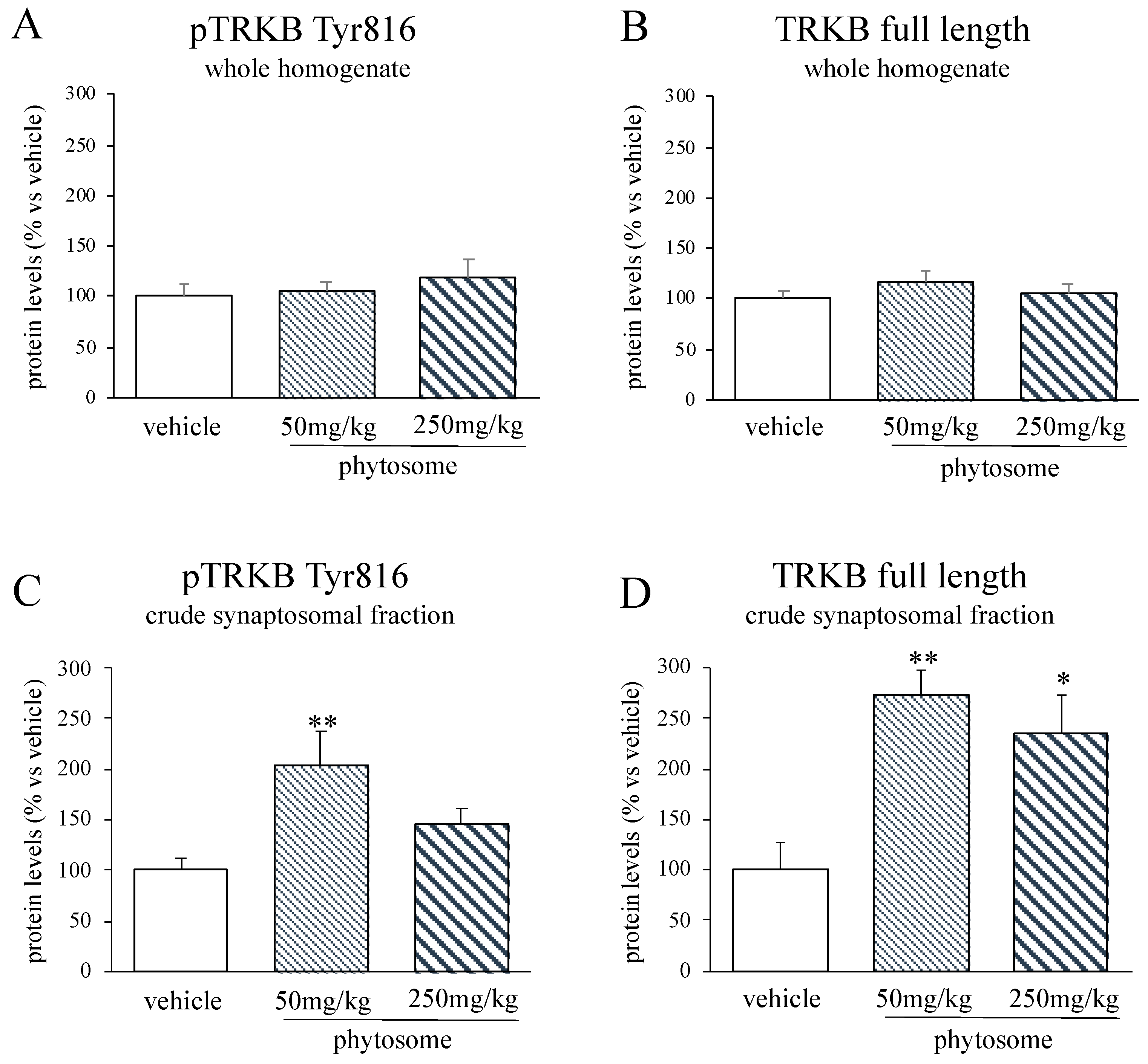 Biomedicines 08 00544 g003