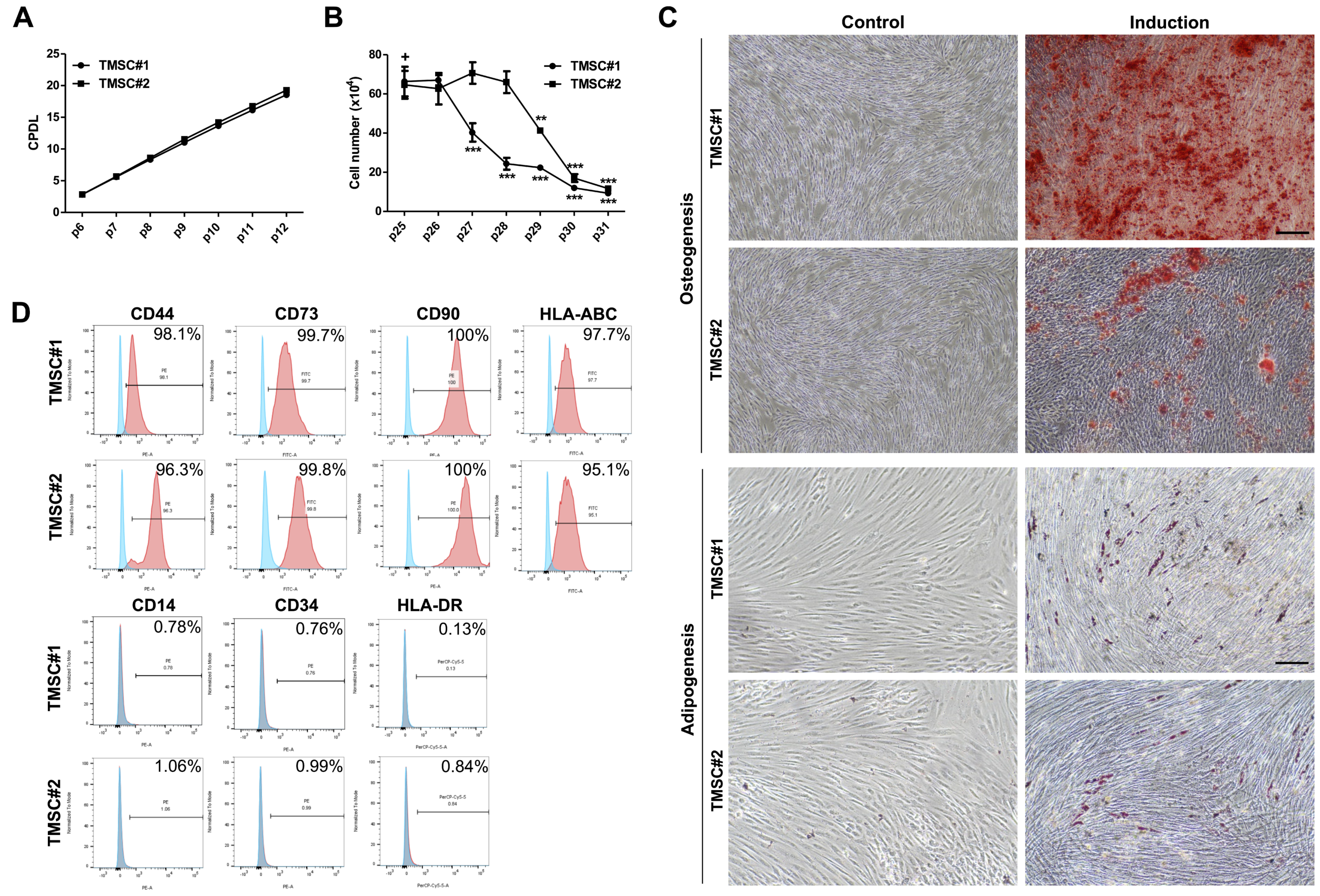 Biomedicines 08 00561 g001 Biomedicines 08 00561 g001