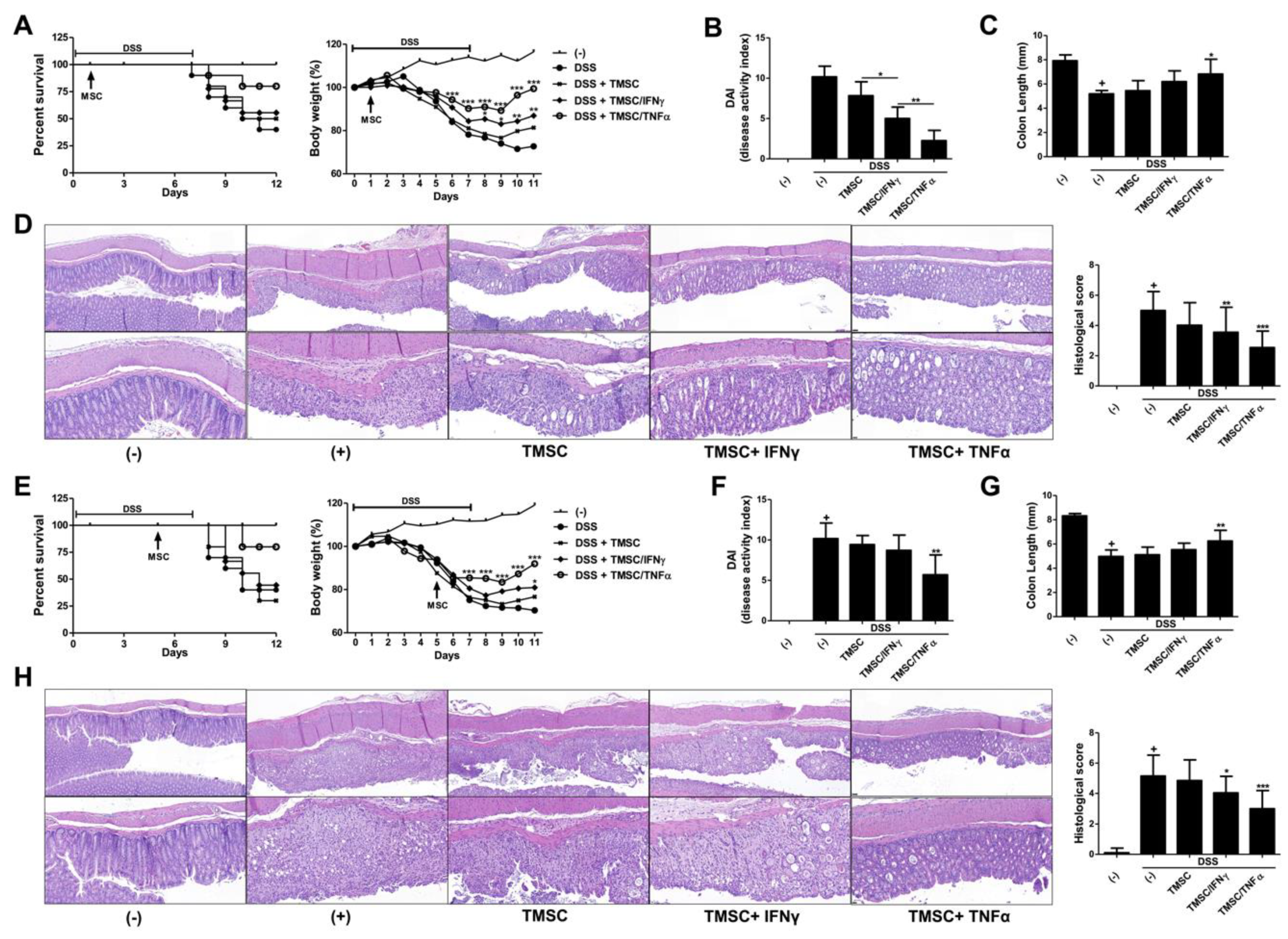Biomedicines 08 00561 g004 Biomedicines 08 00561 g004