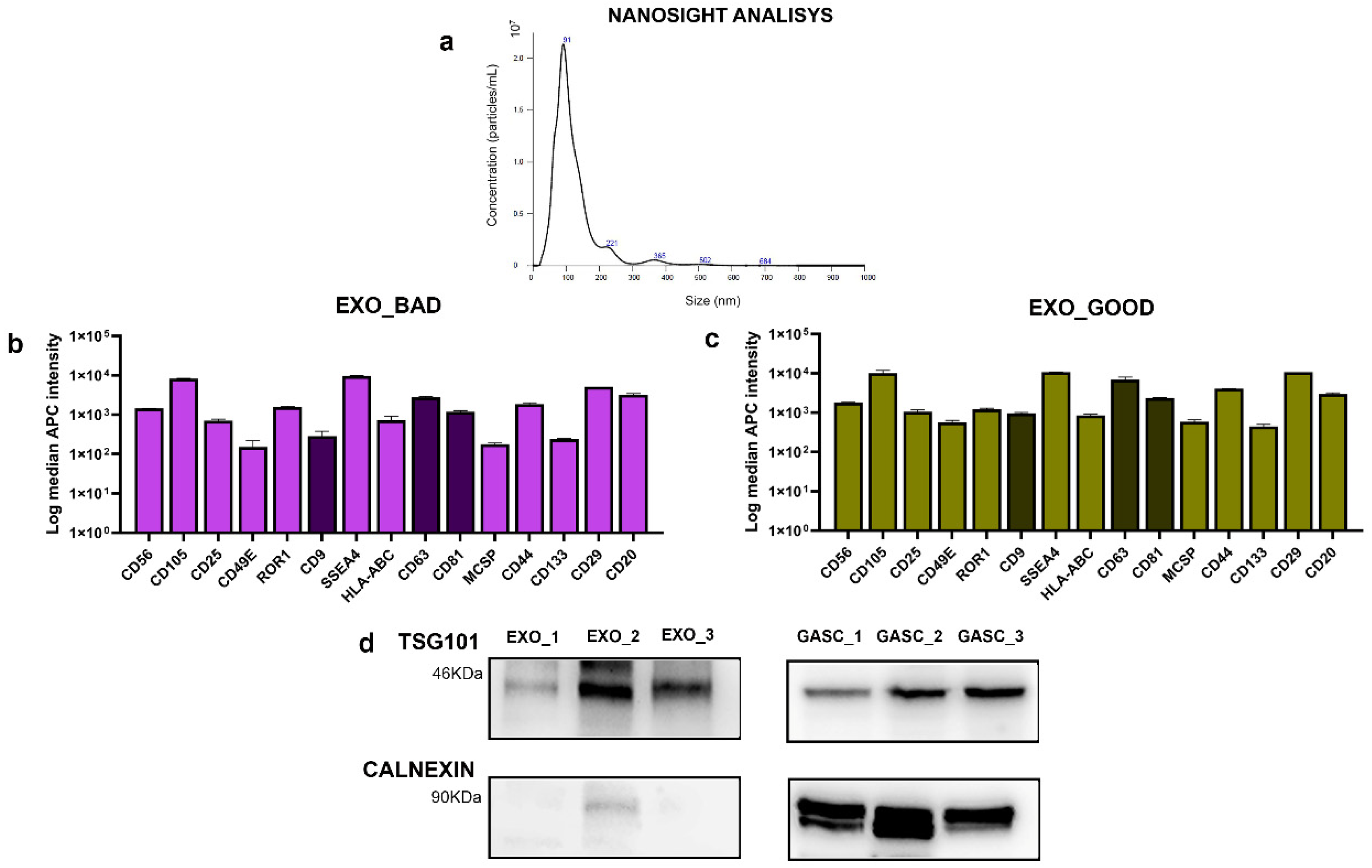 Biomedicines 08 00564 g001 Biomedicines 08 00564 g001