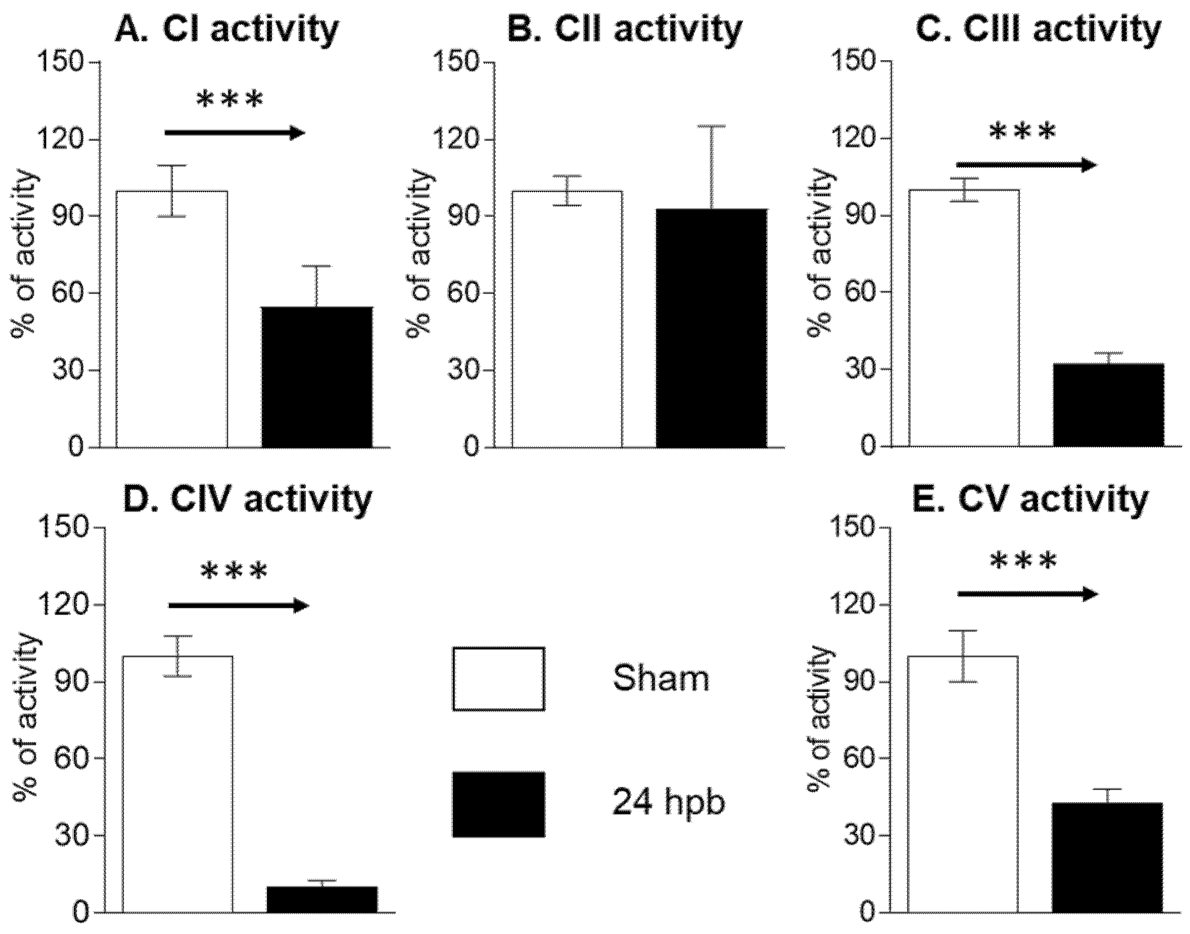 Biomedicines 08 00566 g002