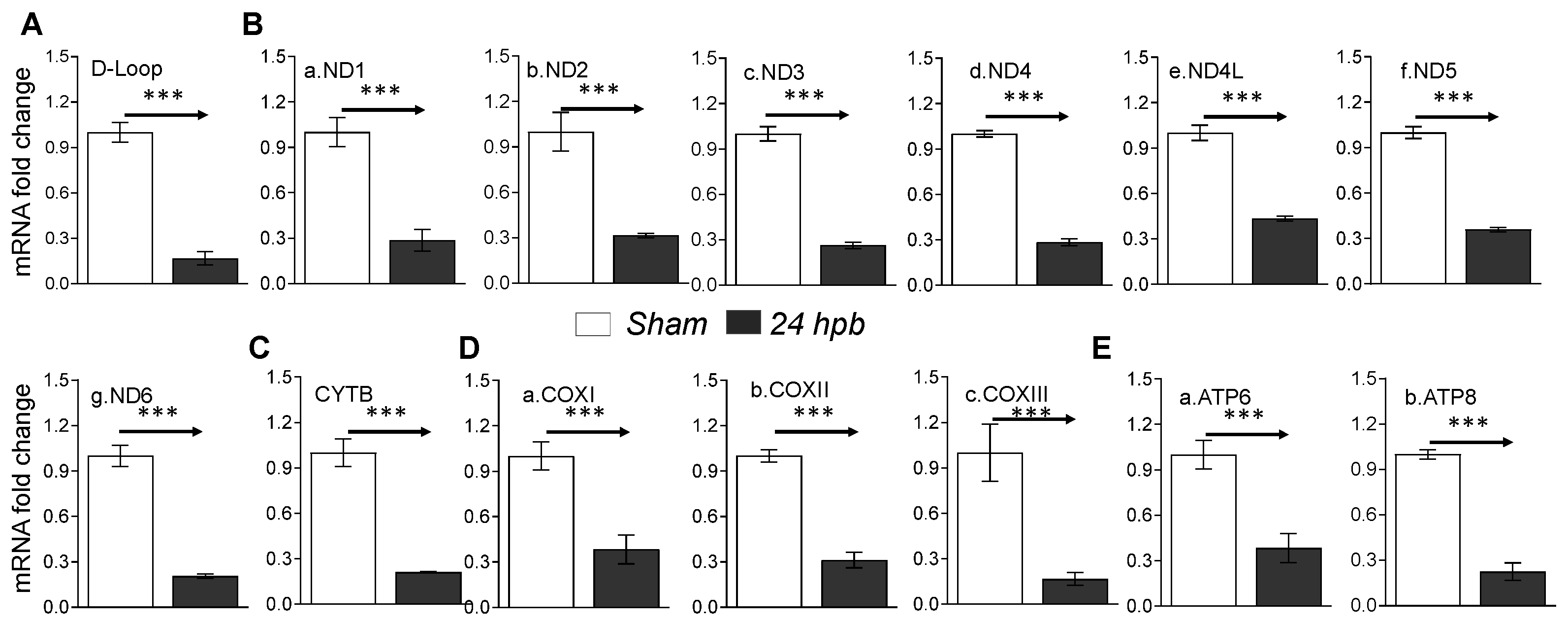 Biomedicines 08 00566 g007