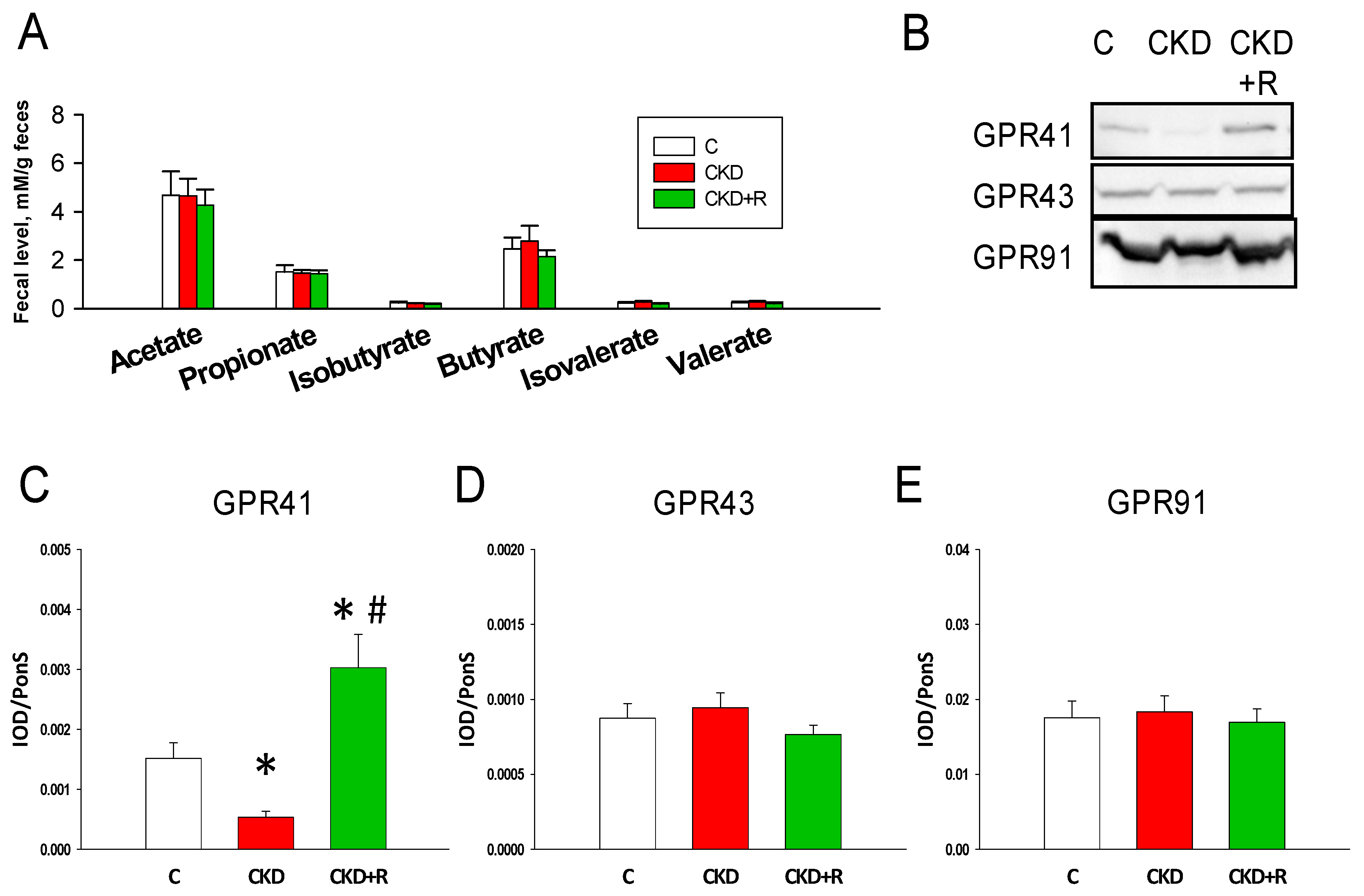 Biomedicines 08 00567 g007
