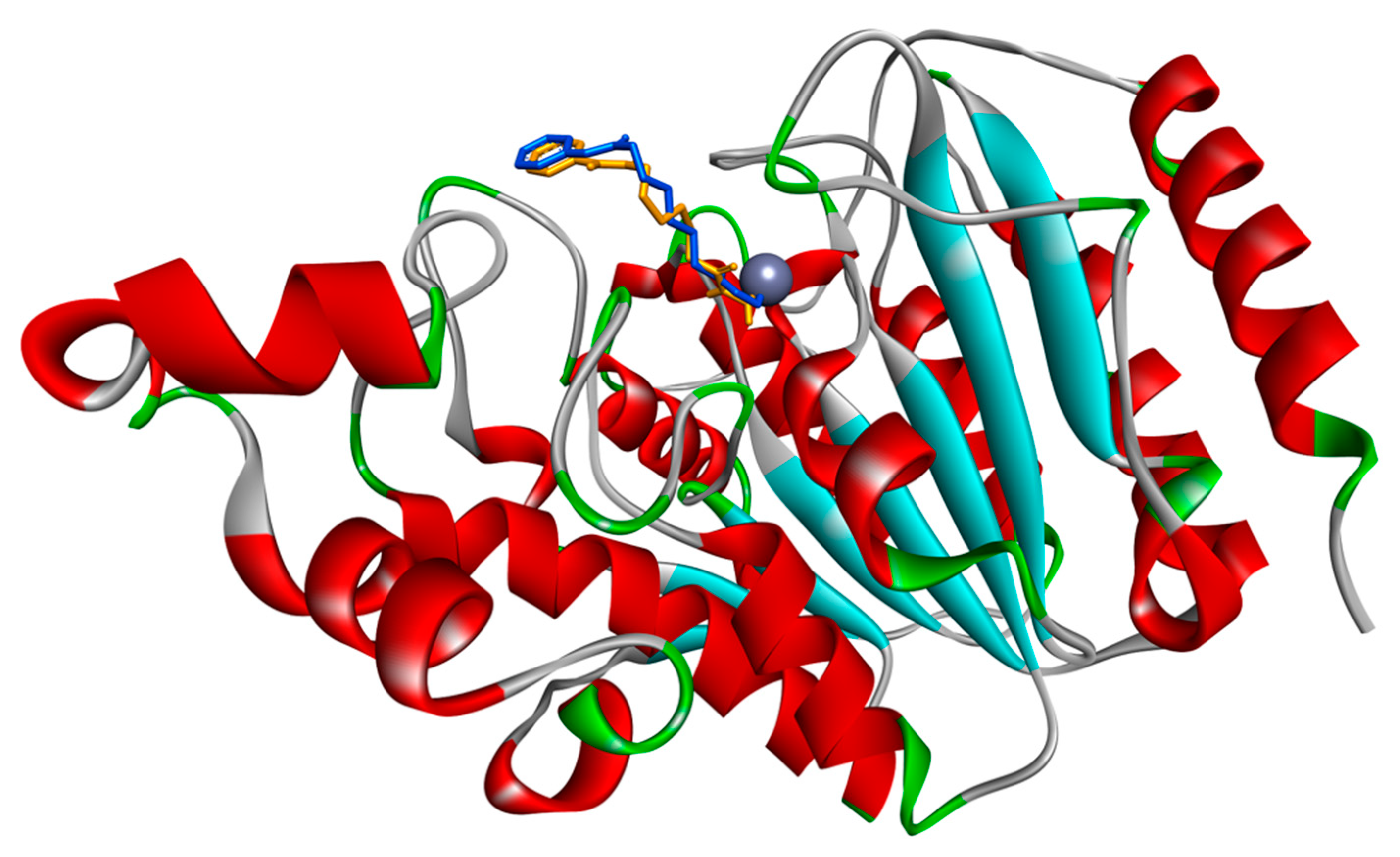 Biomedicines 08 00568 g002