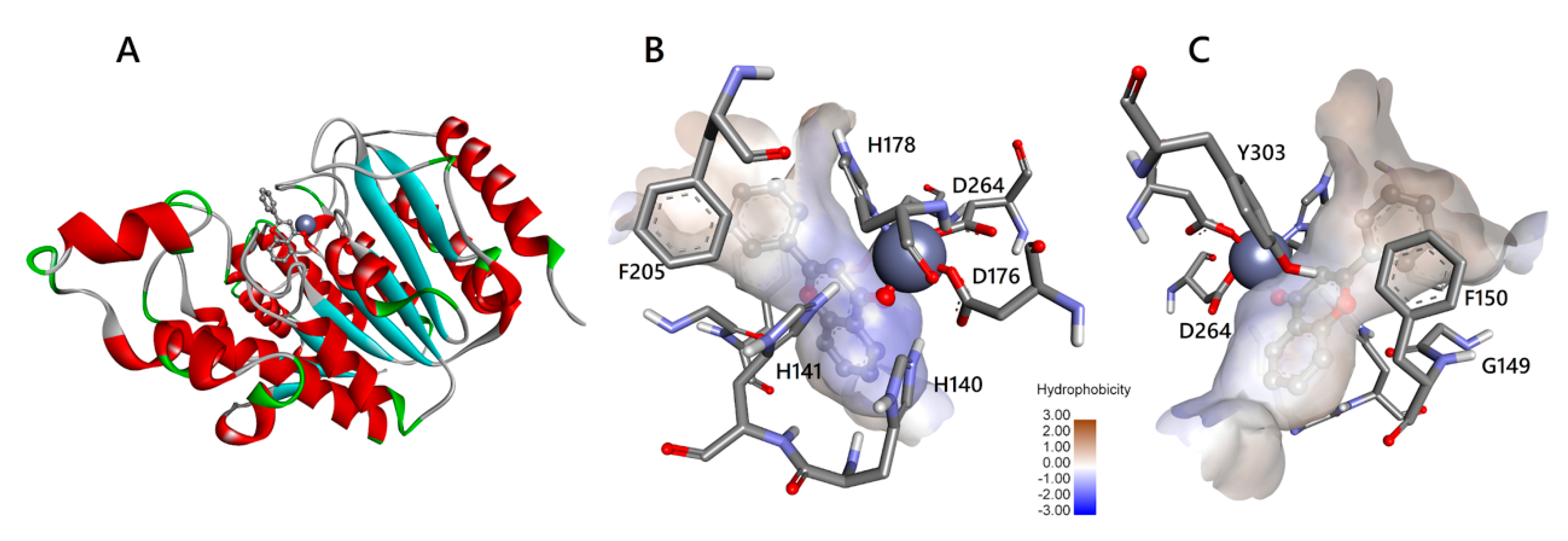 Biomedicines 08 00568 g003