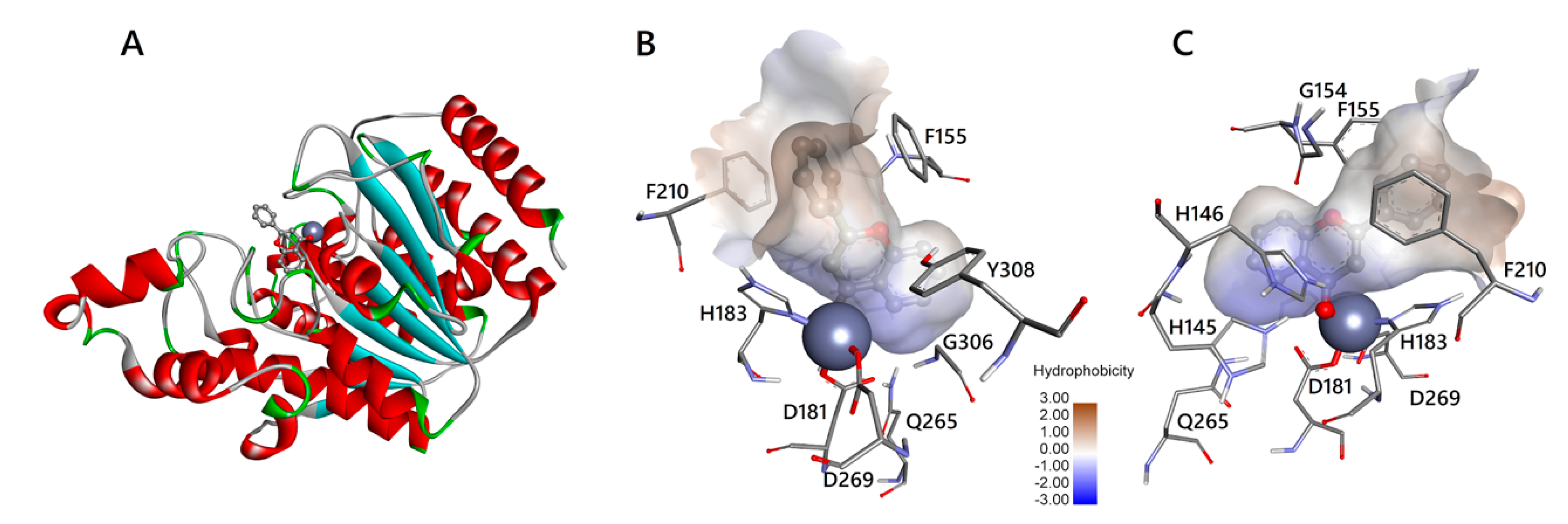 Biomedicines 08 00568 g004