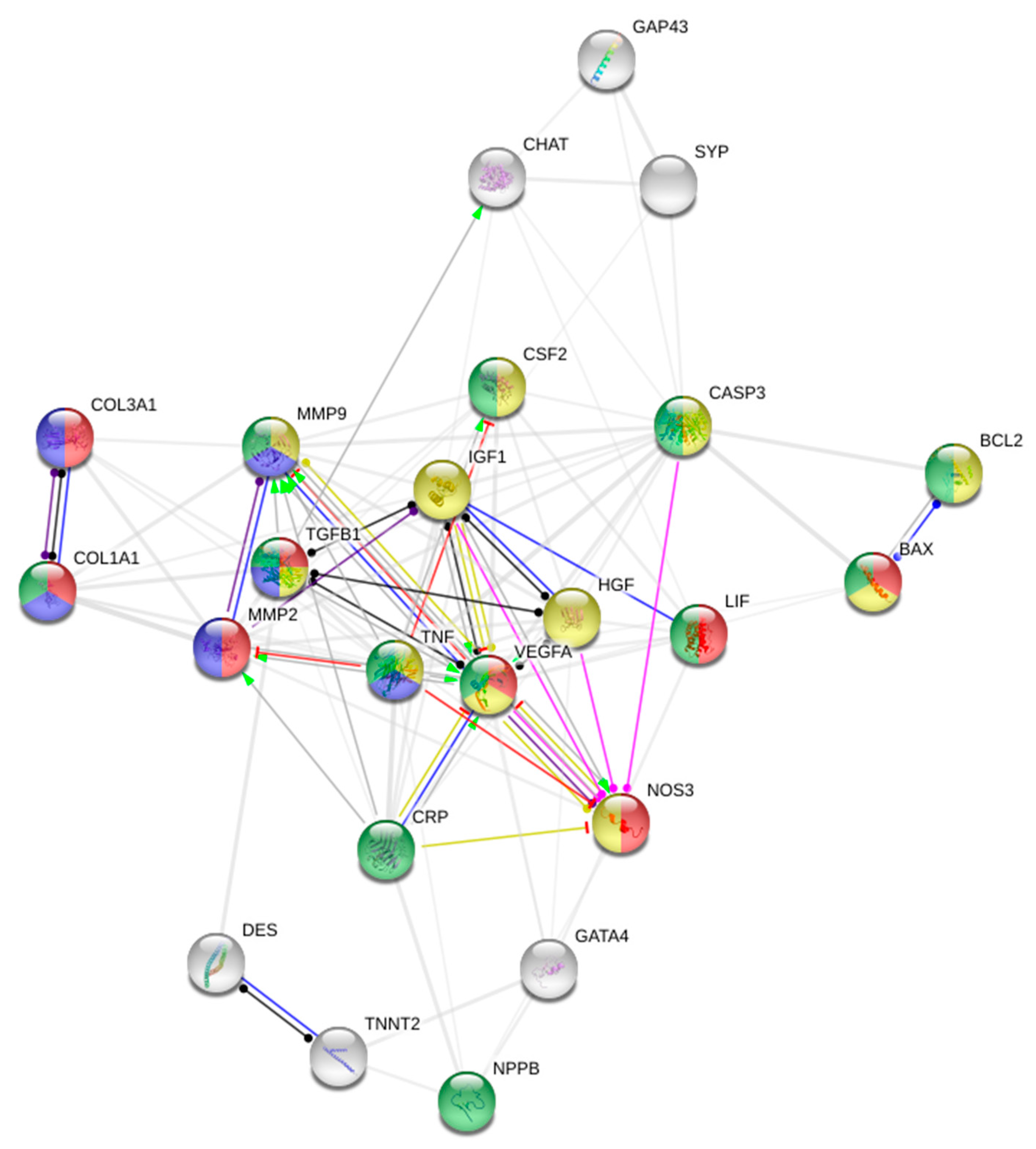 Biomedicines 08 00570 g005 Biomedicines 08 00570 g005