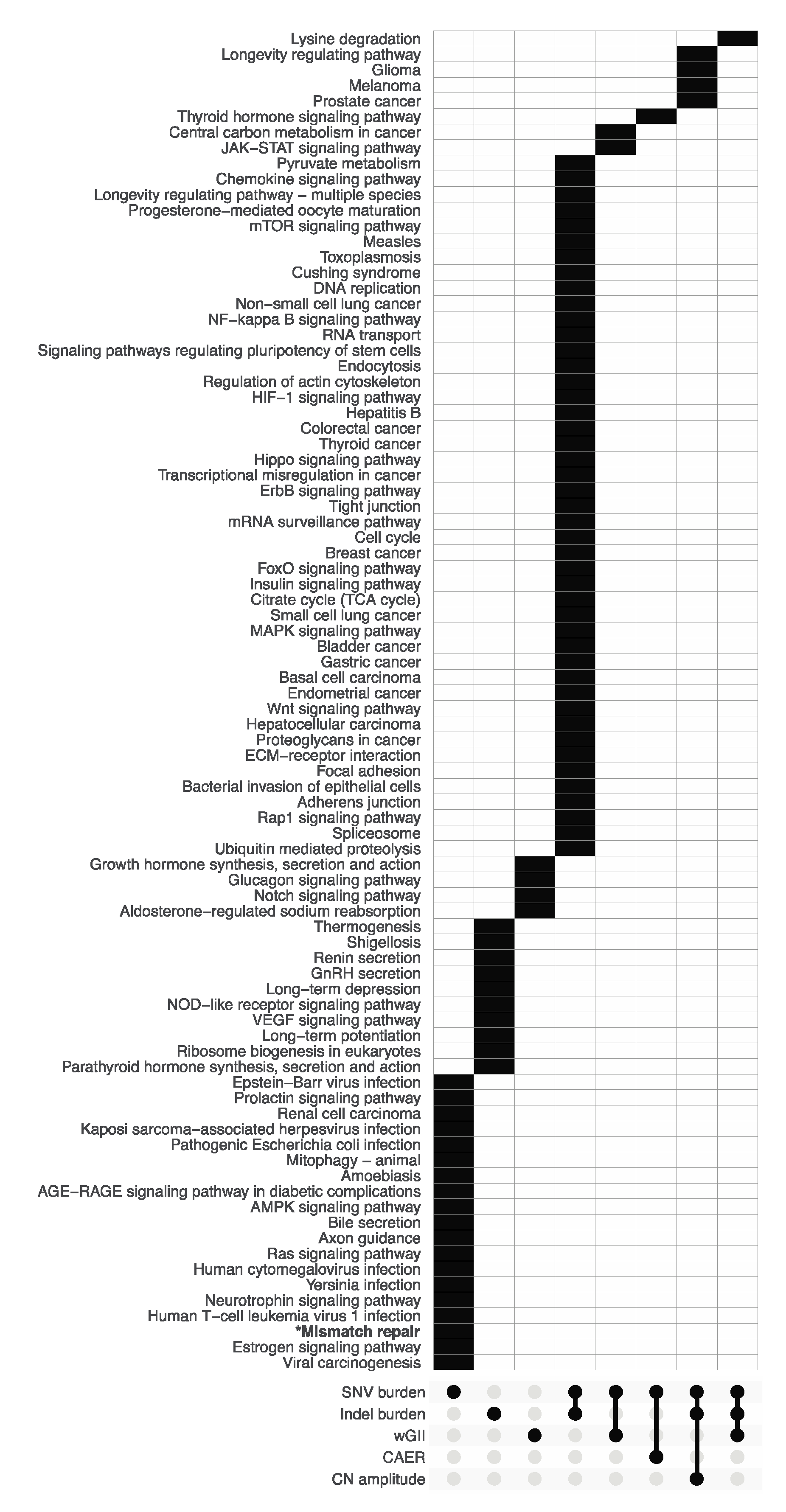 Biomedicines 08 00574 g003 Biomedicines 08 00574 g003