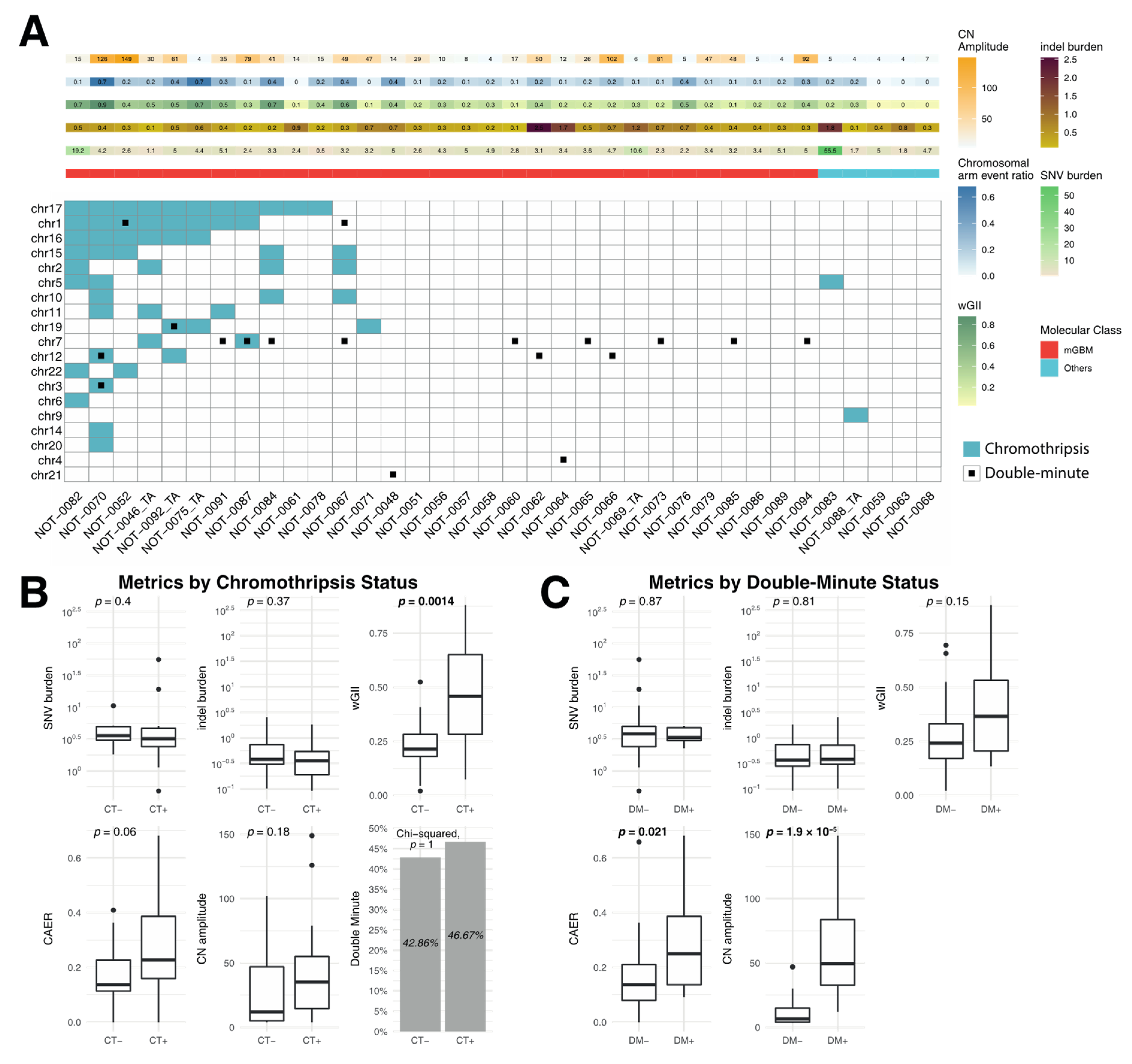 Biomedicines 08 00574 g004 Biomedicines 08 00574 g004