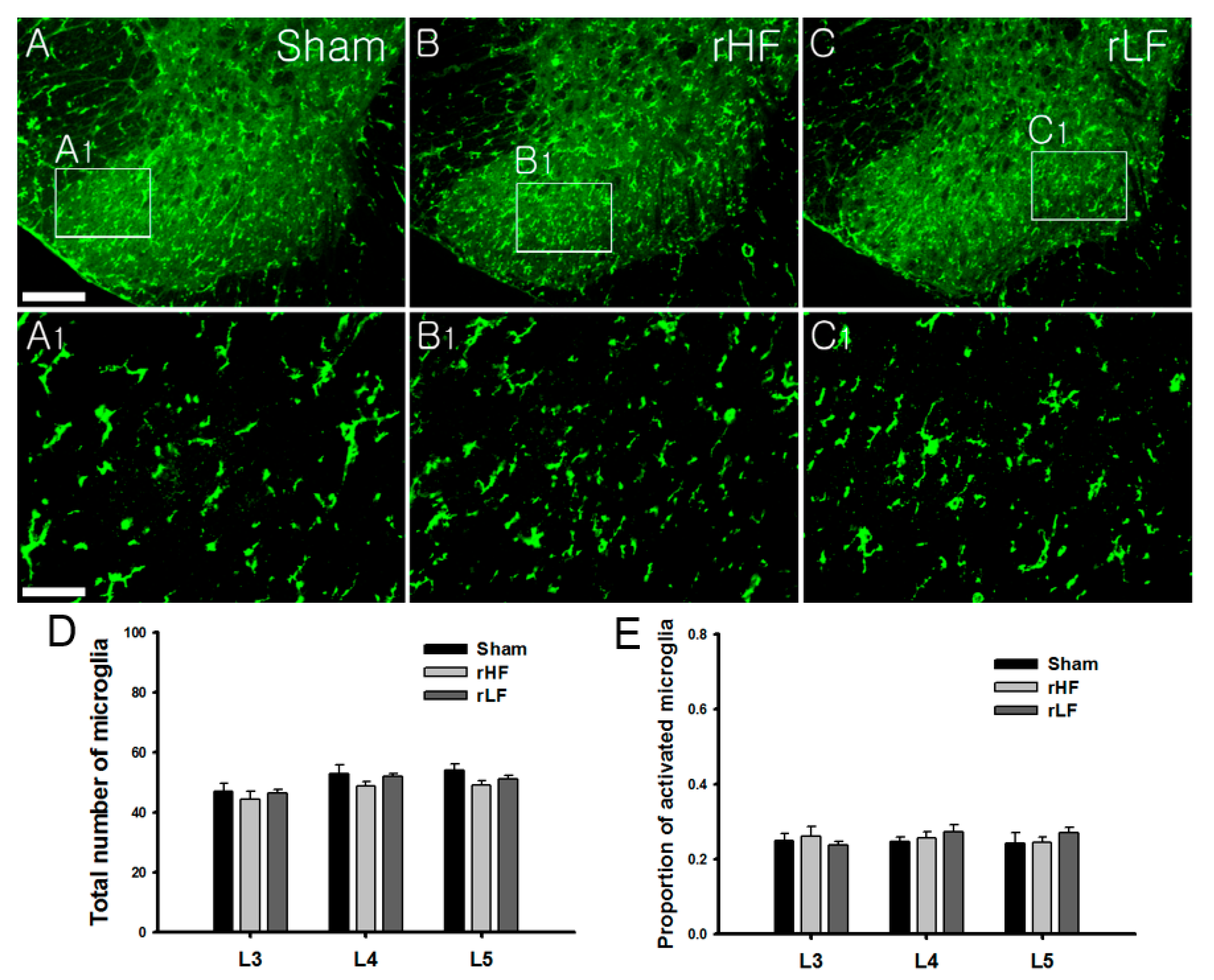 Biomedicines 08 00575 g003 Biomedicines 08 00575 g003