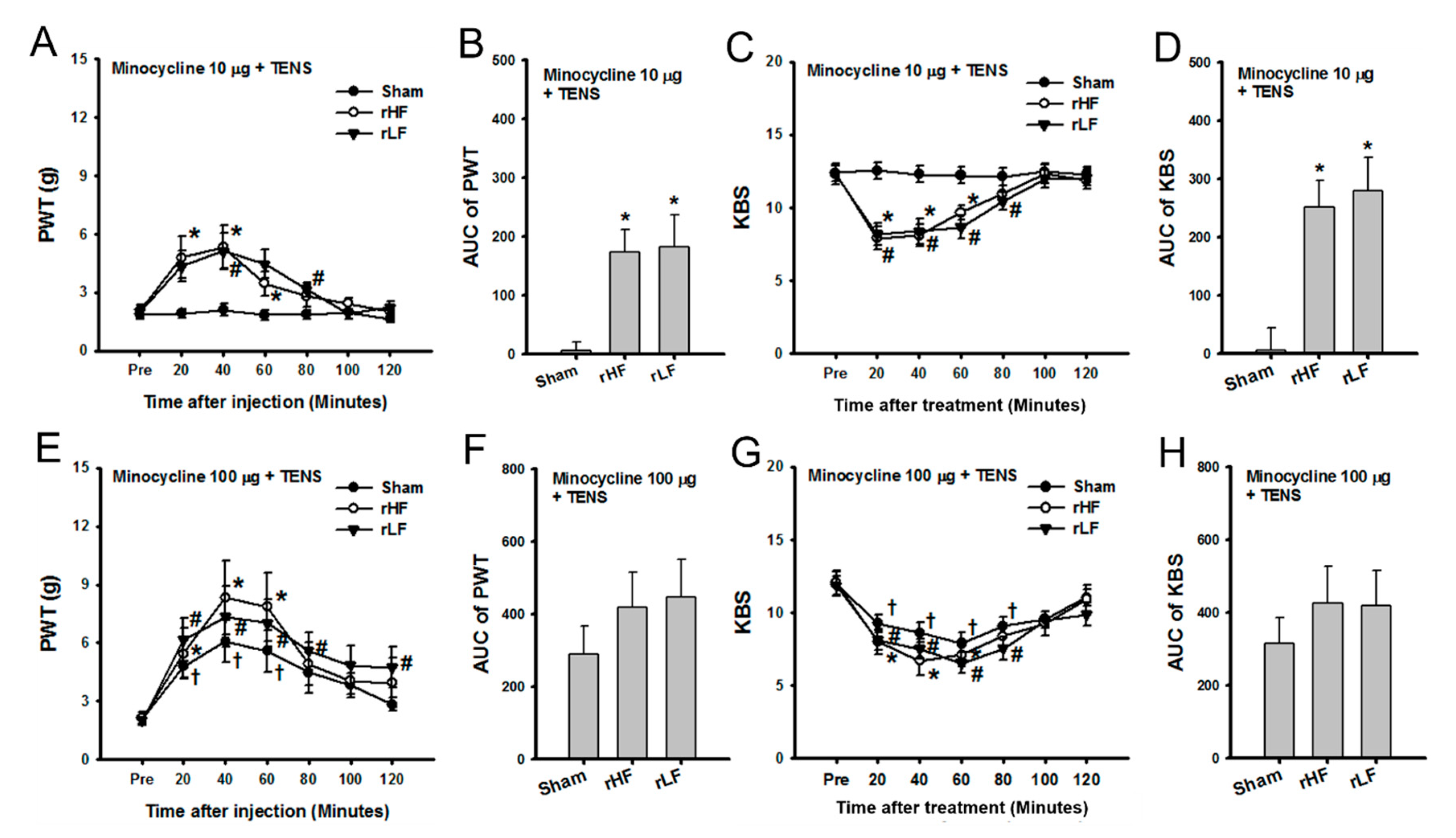 Biomedicines 08 00575 g005 Biomedicines 08 00575 g005