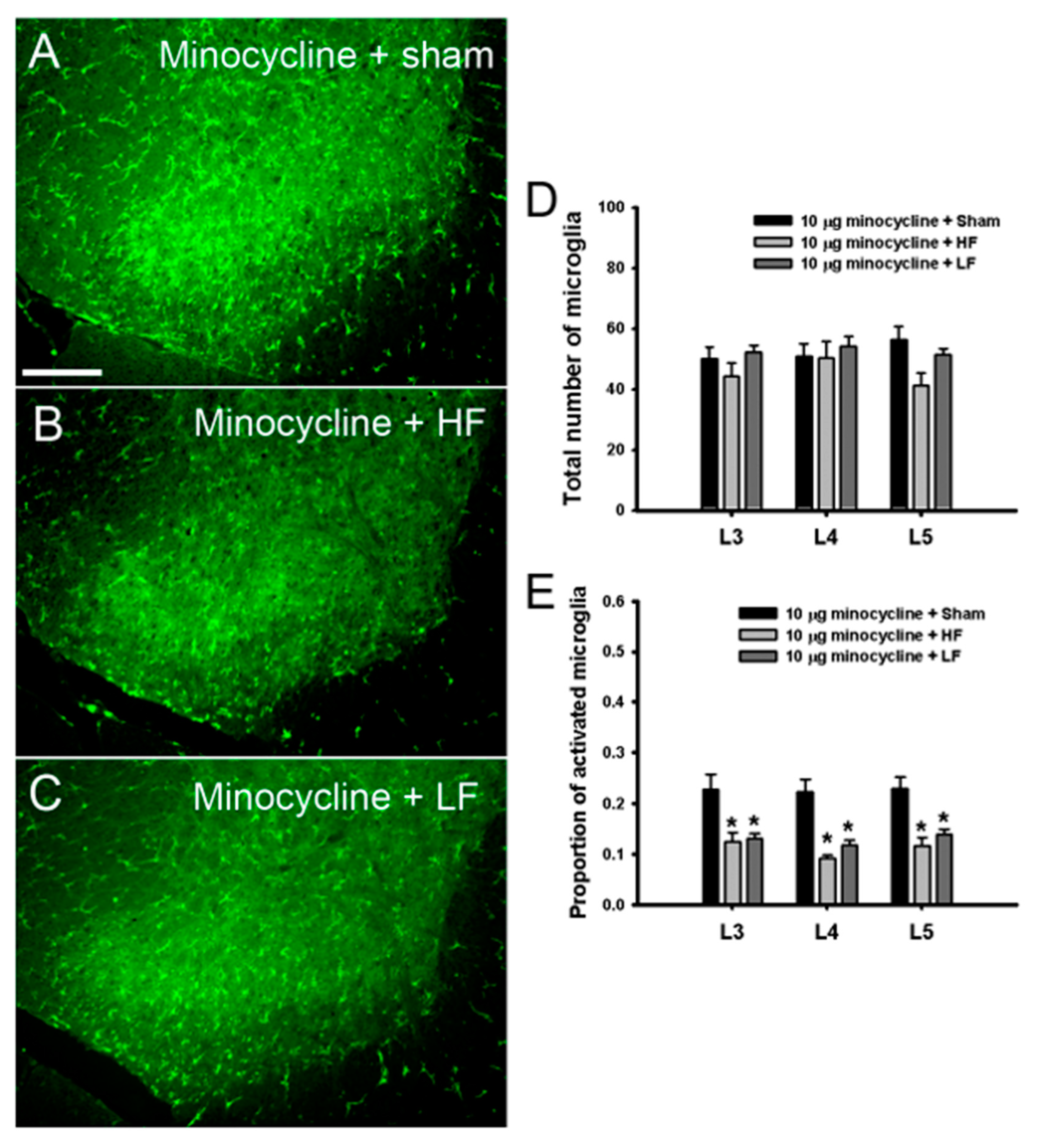 Biomedicines 08 00575 g006 Biomedicines 08 00575 g006