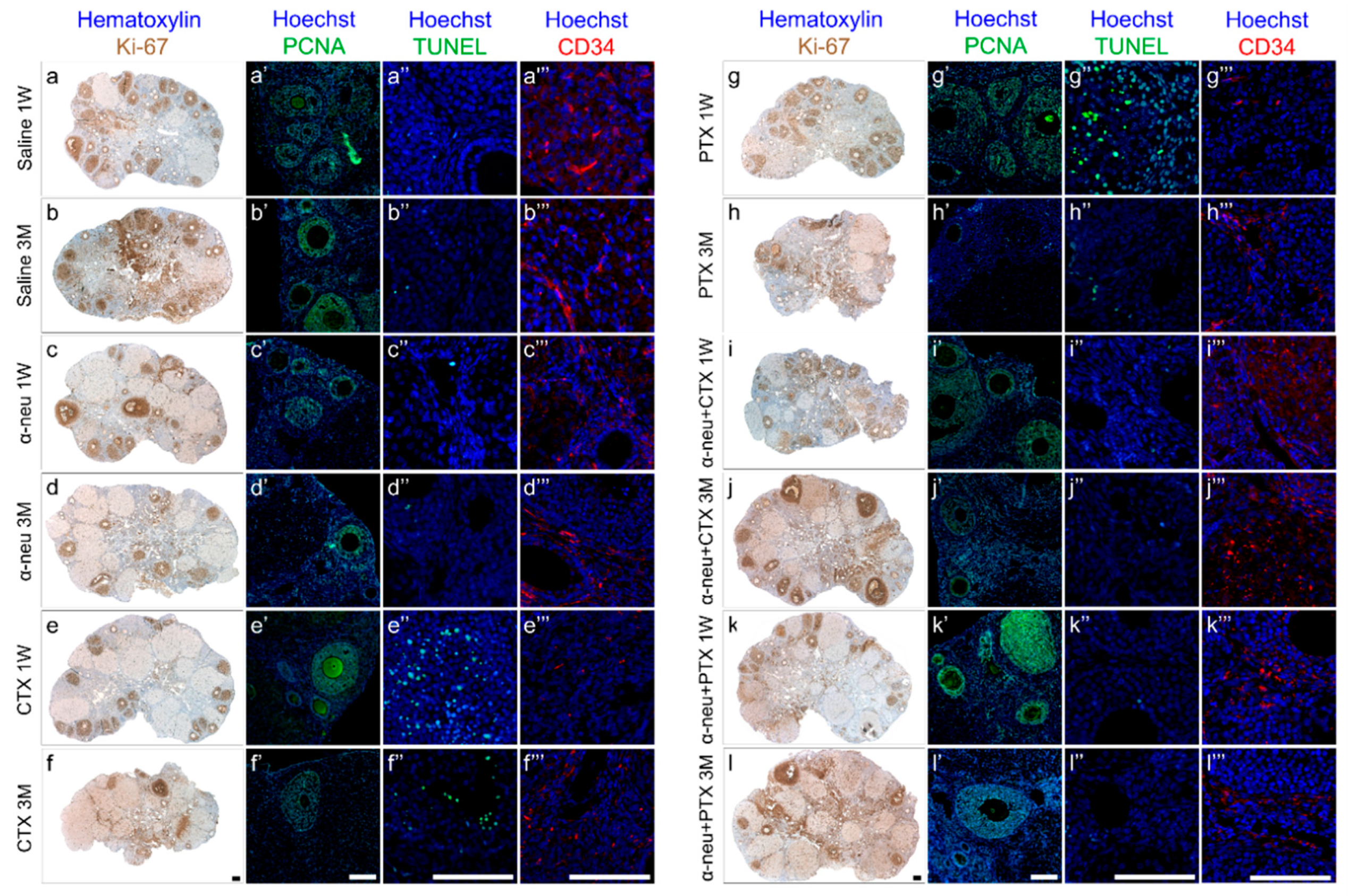 Biomedicines 08 00577 g002 Biomedicines 08 00577 g002