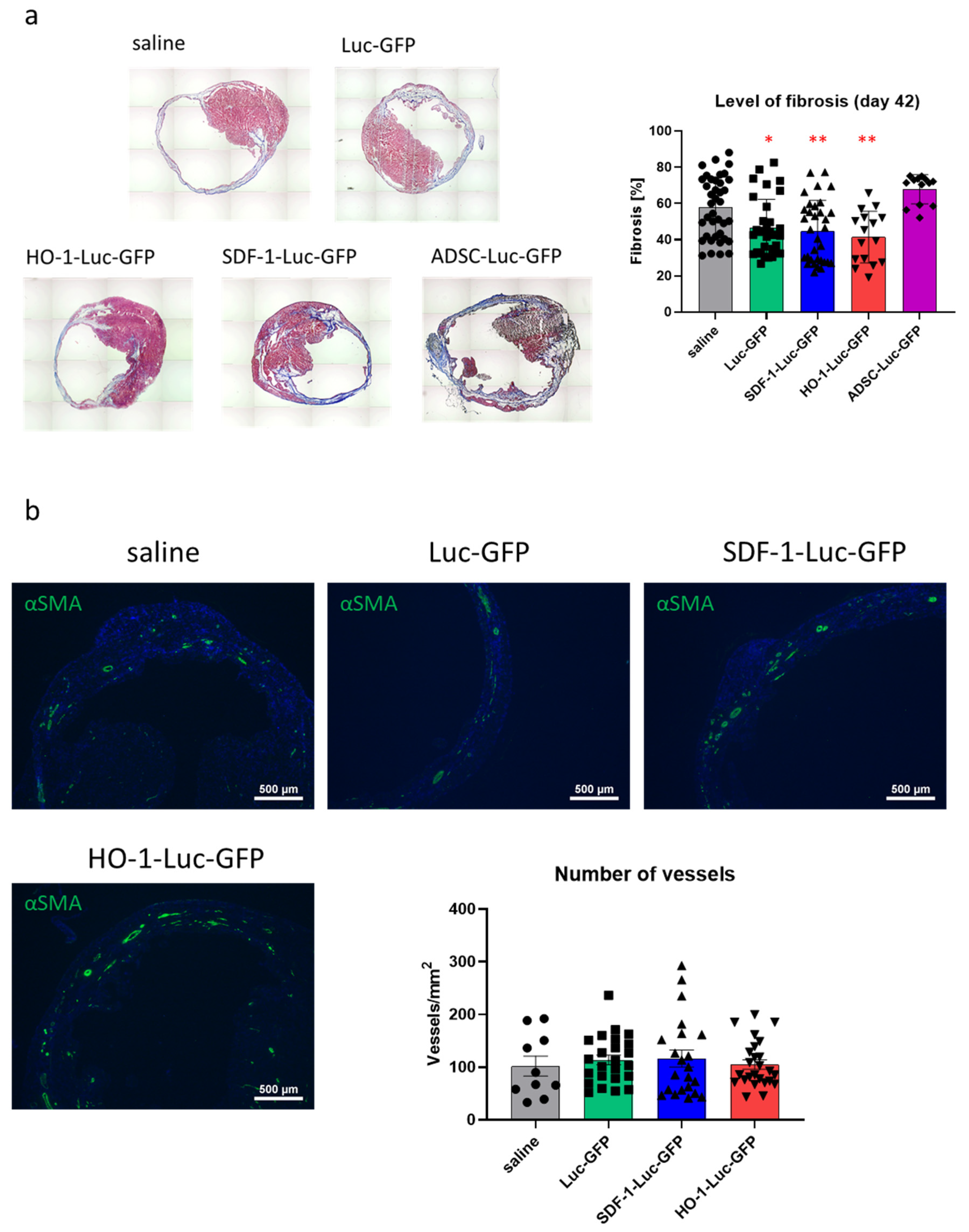 Biomedicines 08 00578 g009