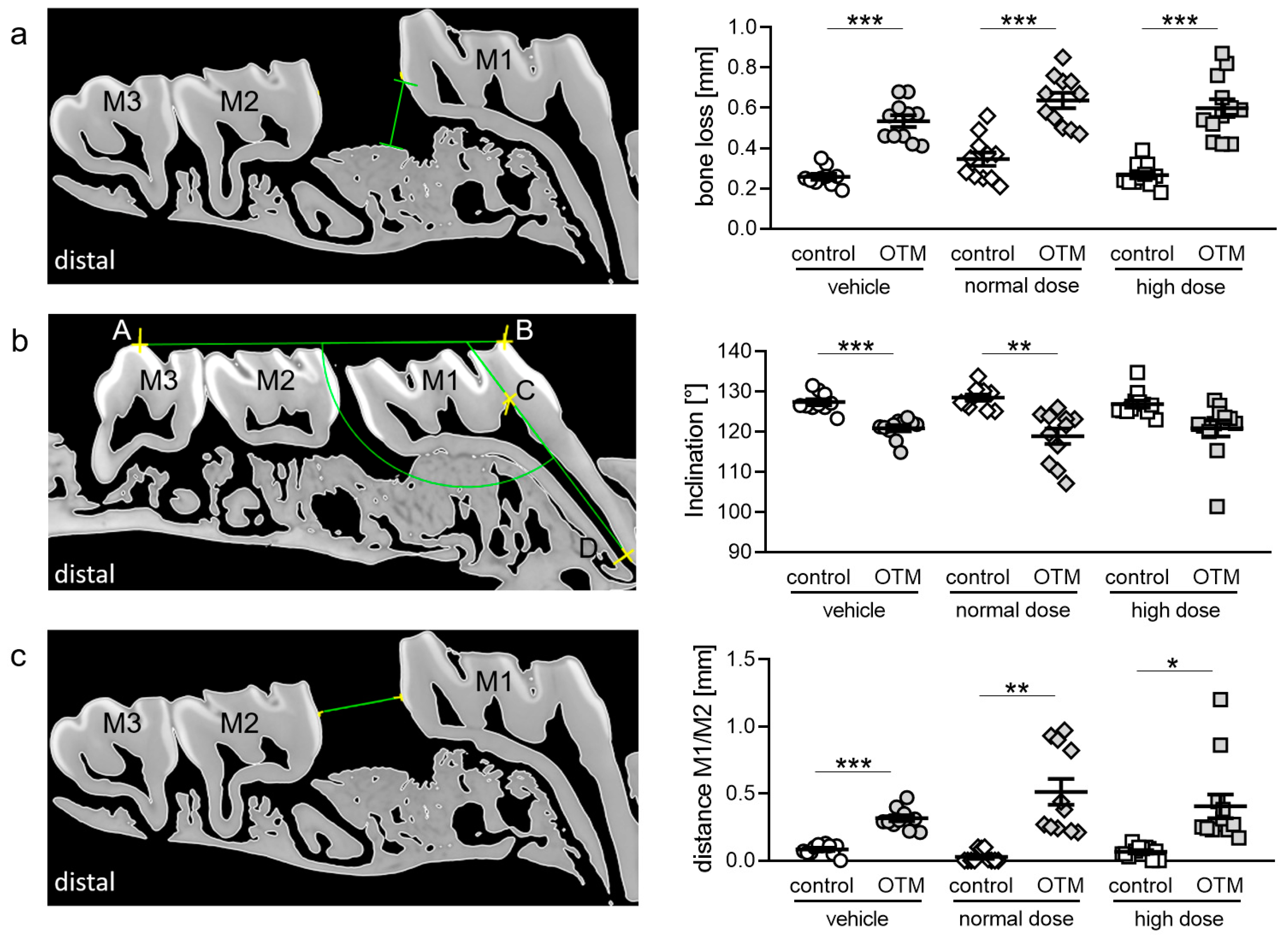 Biomedicines 08 00583 g004