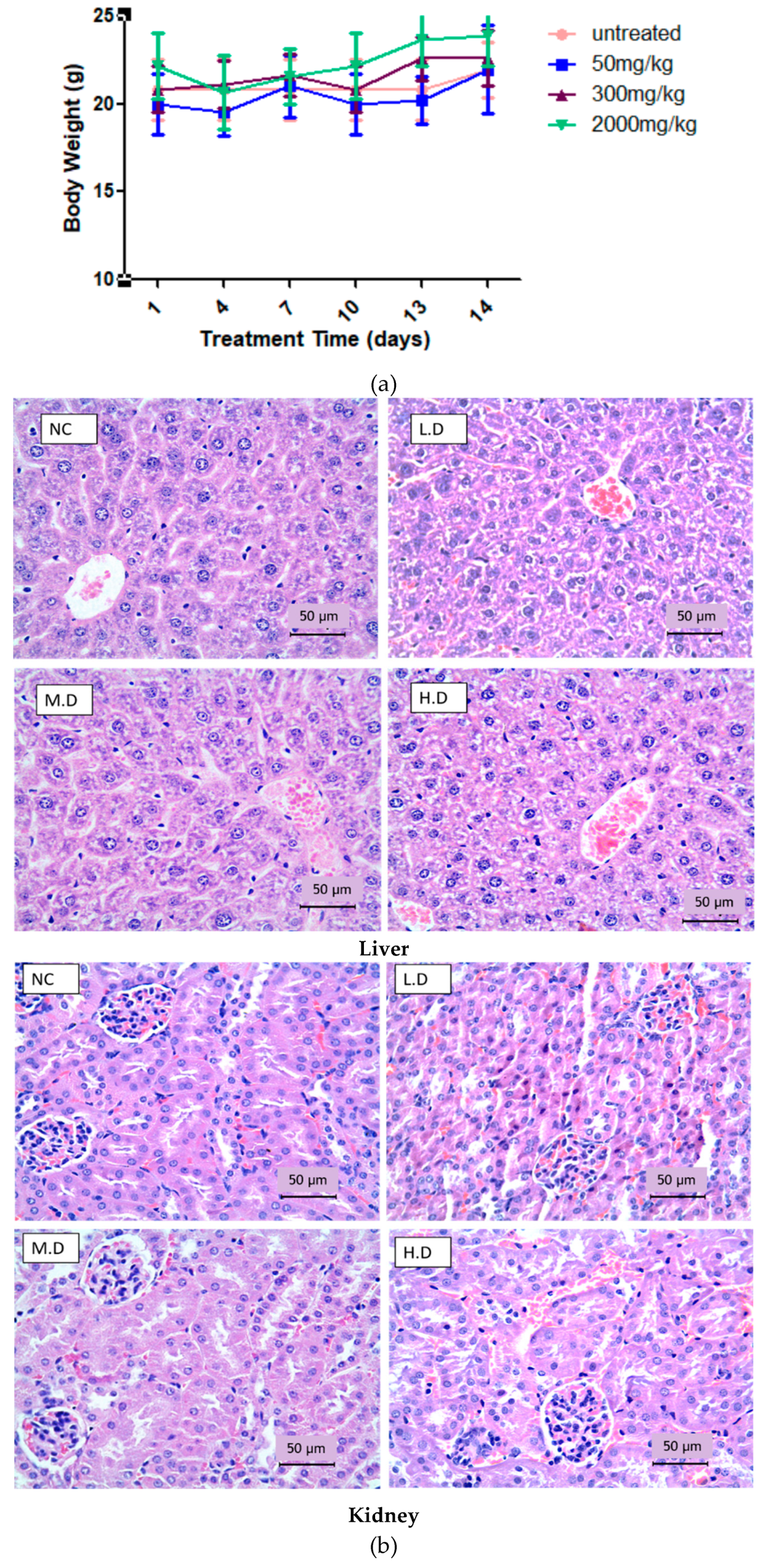 Biomedicines 08 00586 g001 Biomedicines 08 00586 g001