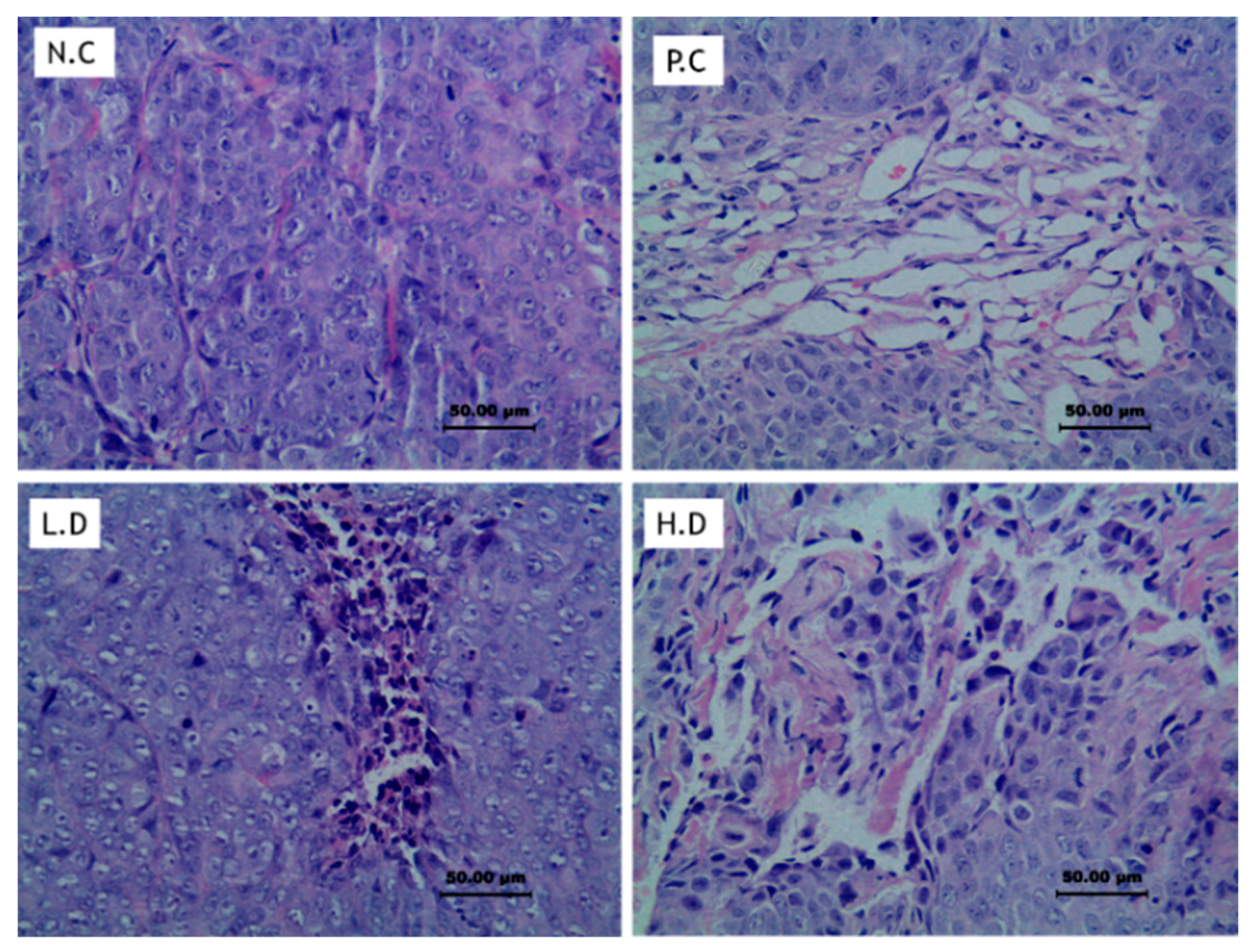 Biomedicines 08 00586 g003 Biomedicines 08 00586 g003