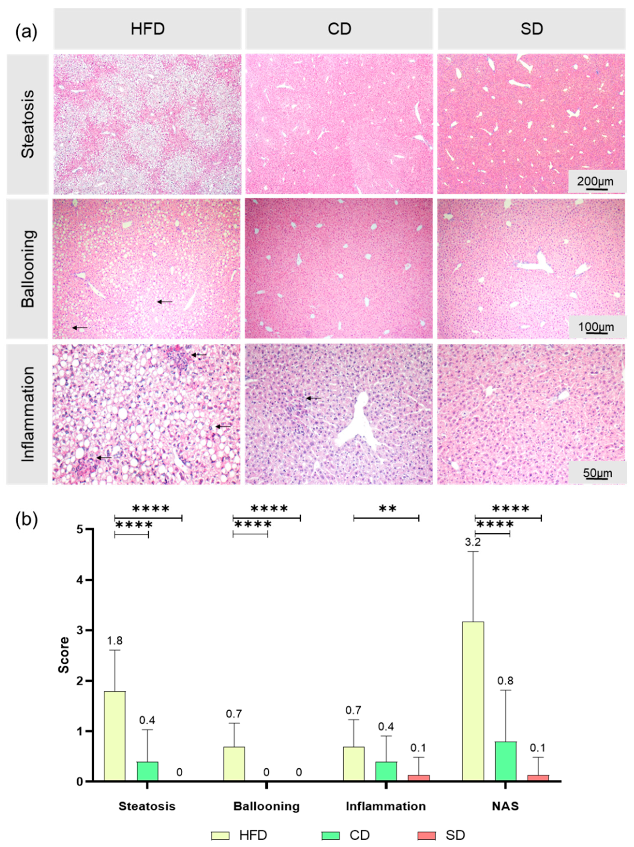 Biomedicines 08 00587 g005 Biomedicines 08 00587 g005