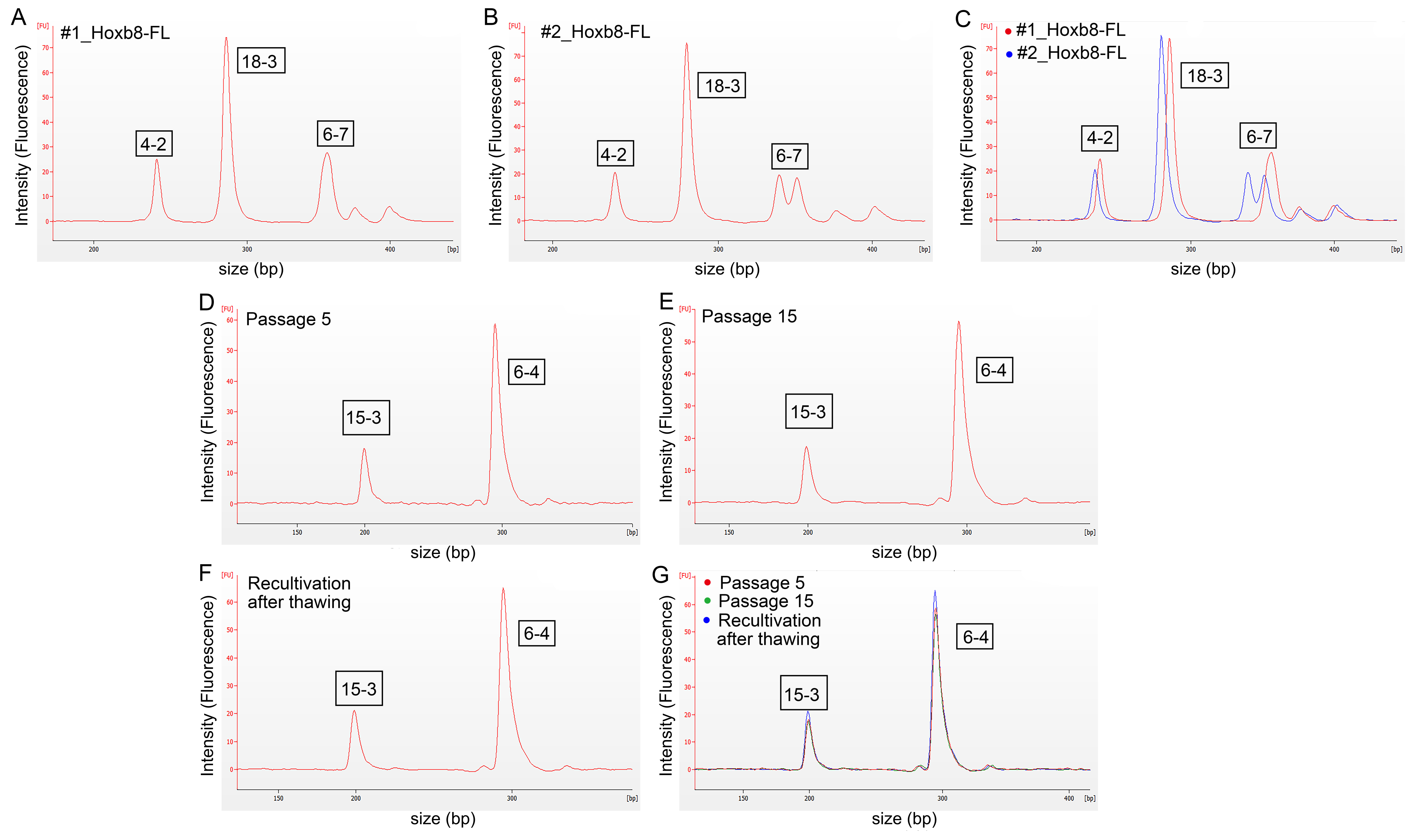 Biomedicines 08 00590 g002