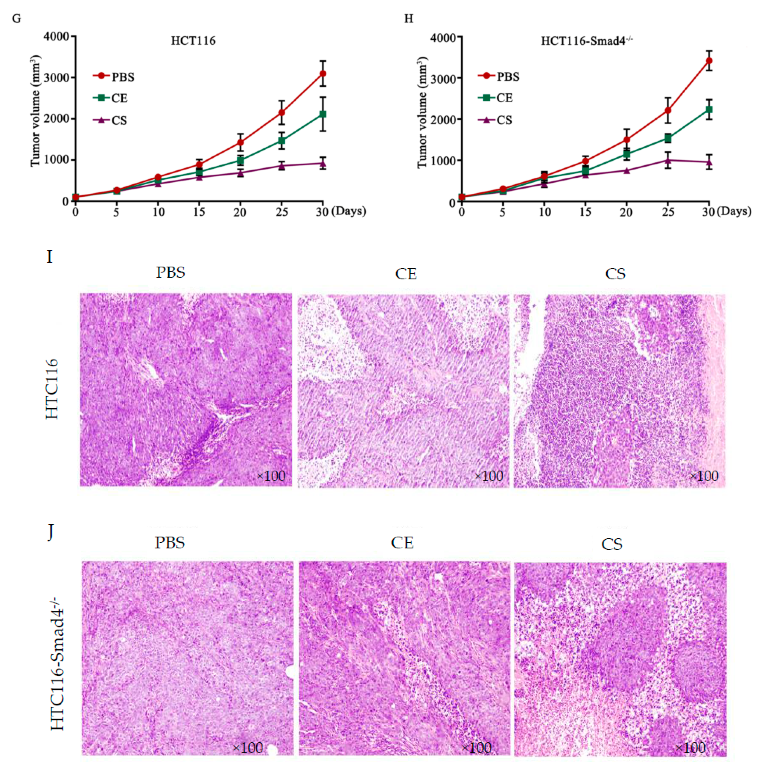 Biomedicines 08 00593 g002b Biomedicines 08 00593 g002b