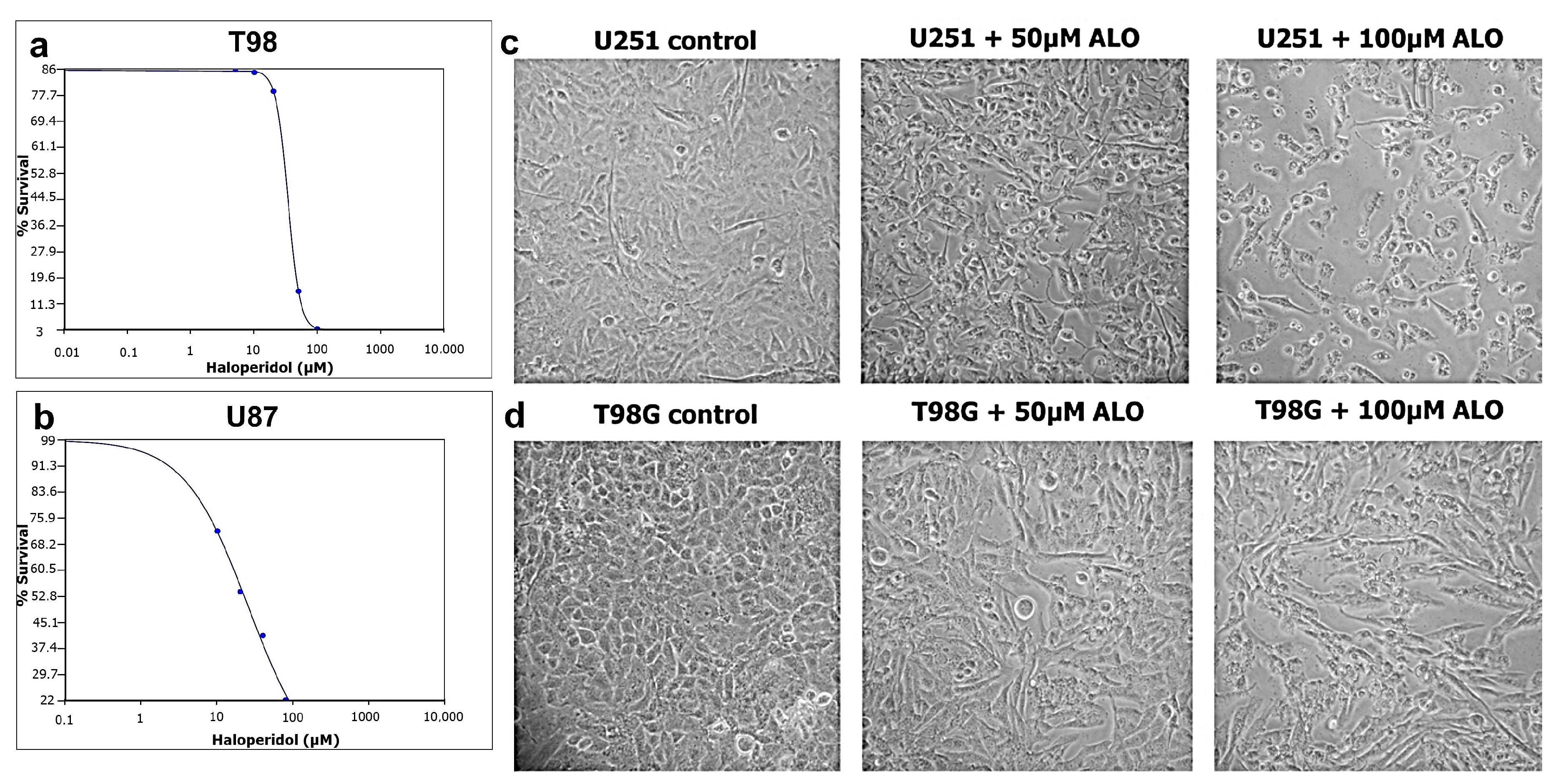Biomedicines 08 00595 g001