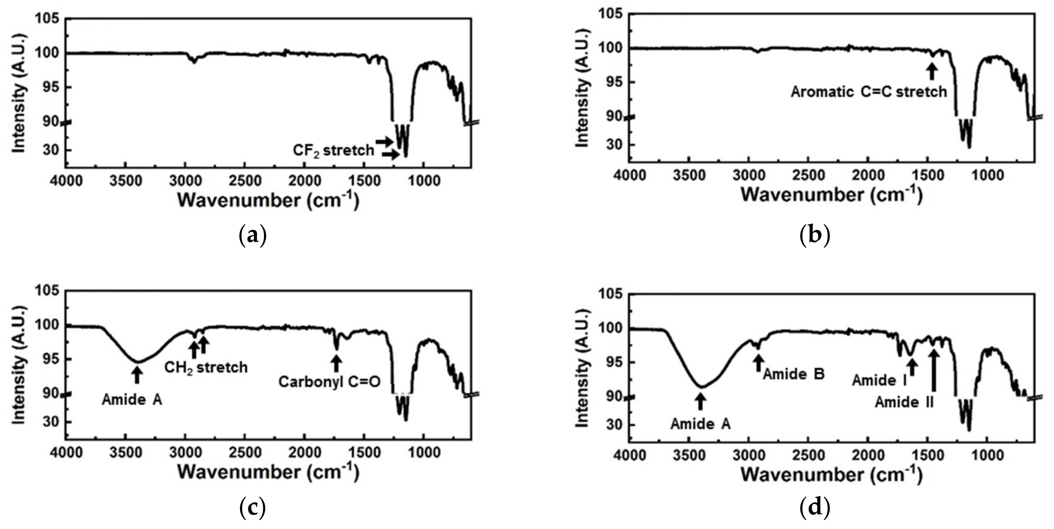 Biomedicines 08 00596 g004 Biomedicines 08 00596 g004