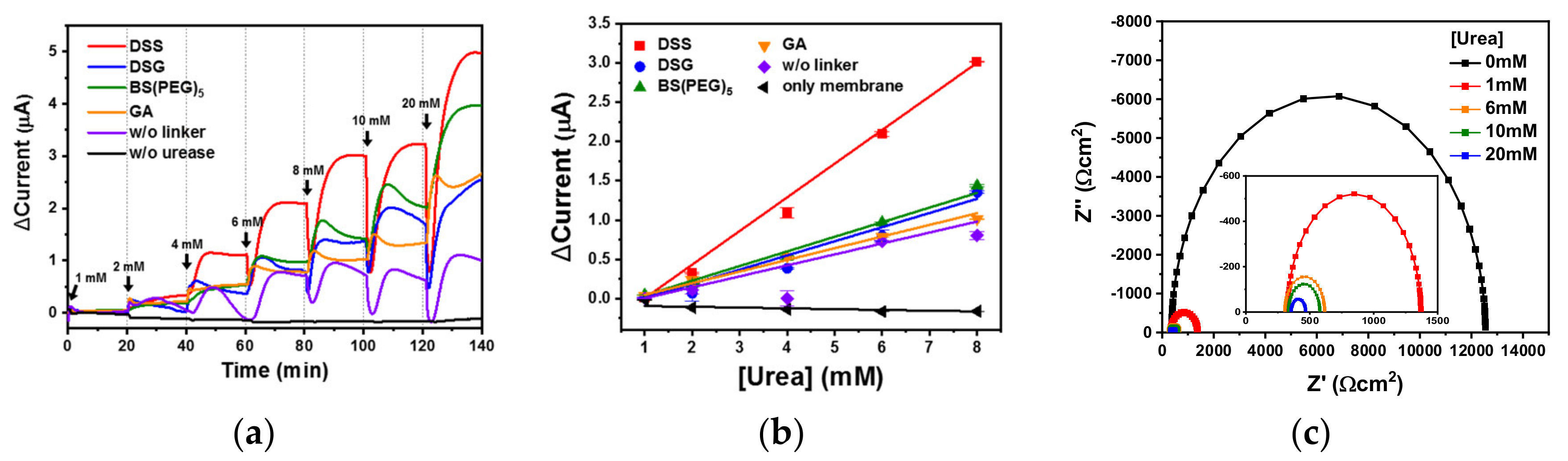 Biomedicines 08 00596 g005 Biomedicines 08 00596 g005