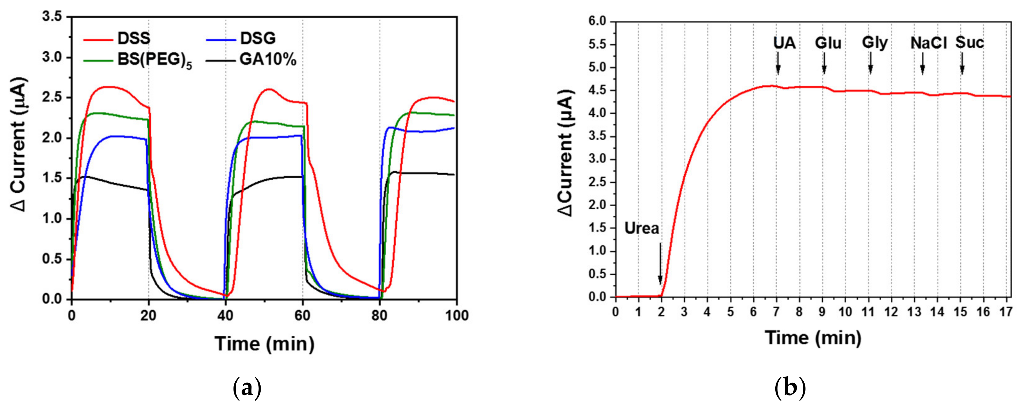 Biomedicines 08 00596 g007 Biomedicines 08 00596 g007