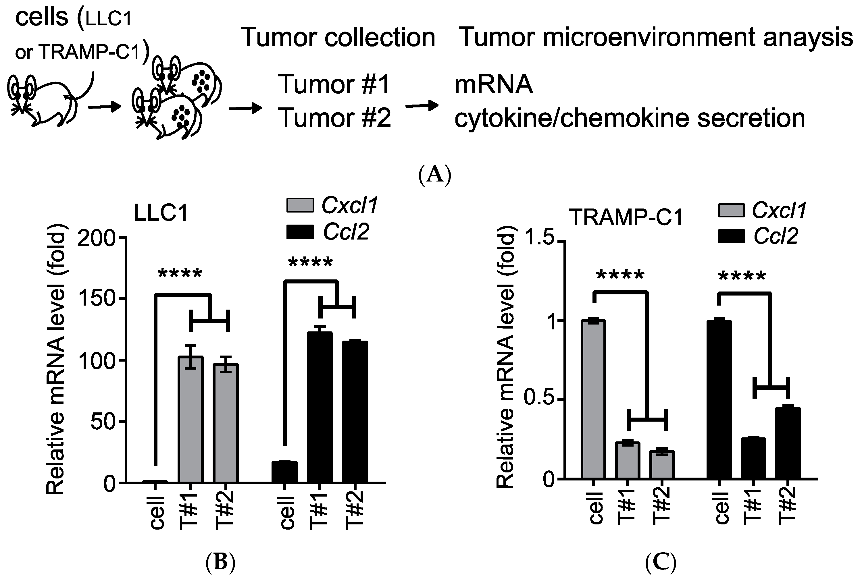 Biomedicines 08 00602 g001a