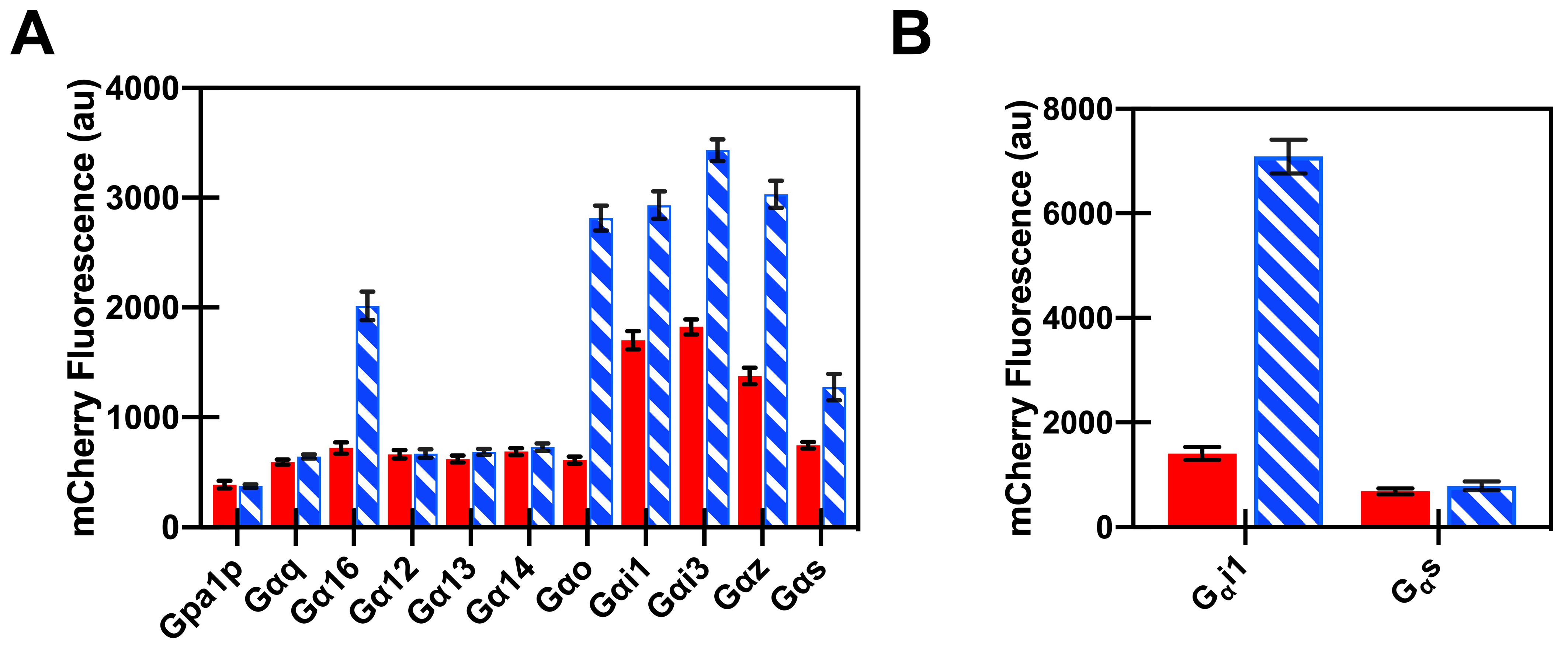 Biomedicines 08 00603 g005 Biomedicines 08 00603 g005