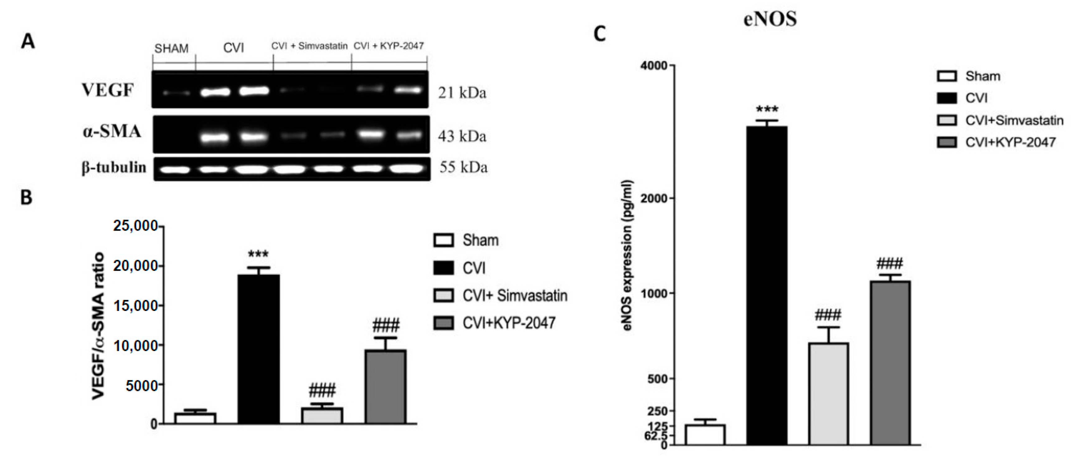 Biomedicines 08 00604 g003