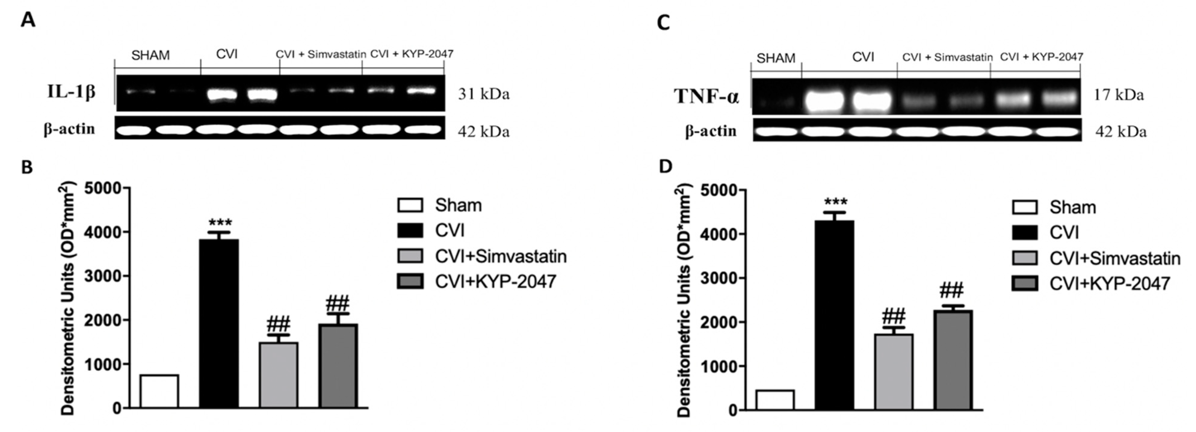 Biomedicines 08 00604 g004